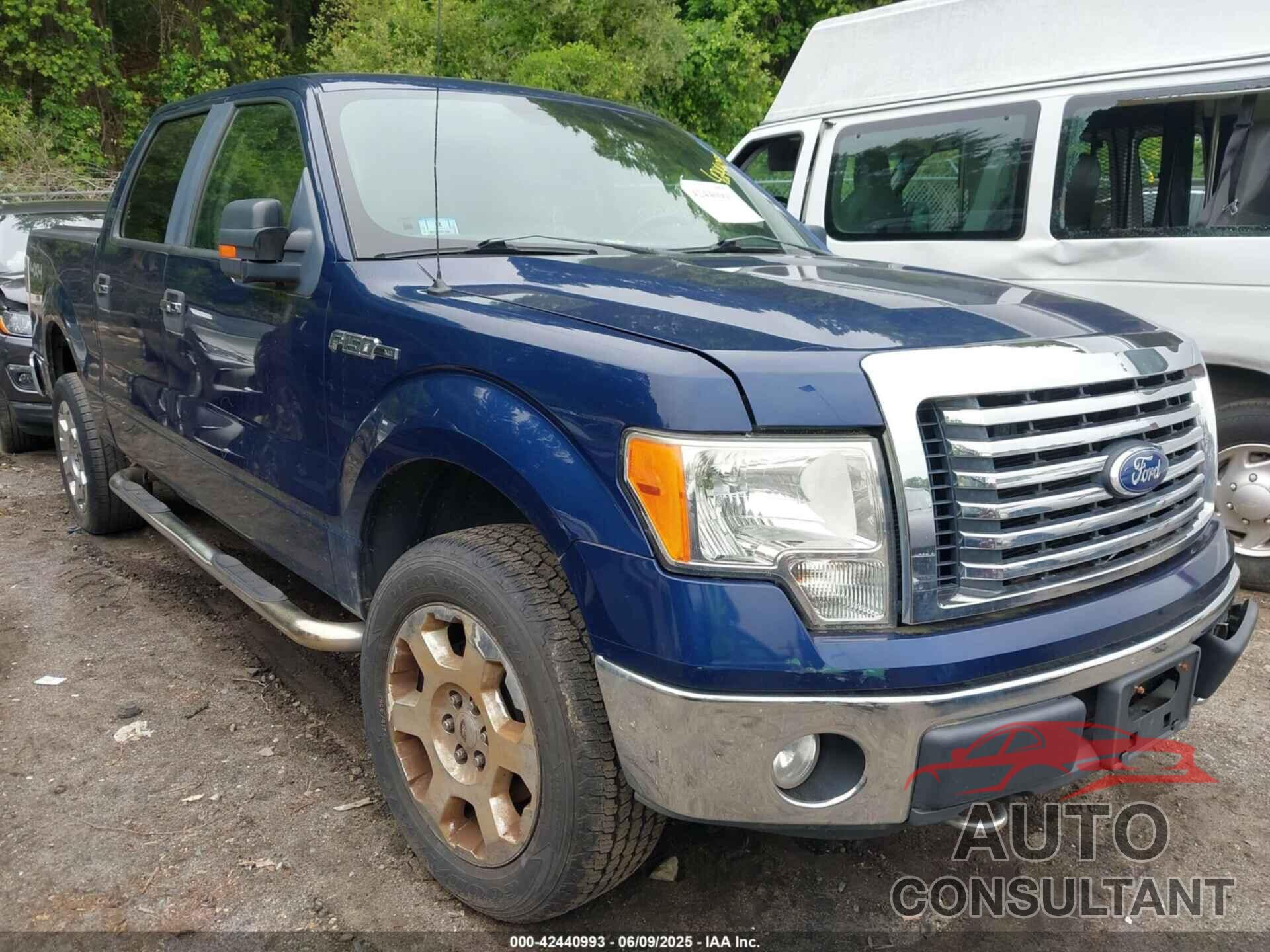 FORD F-150 2010 - 1FTFW1EV6AFC74157