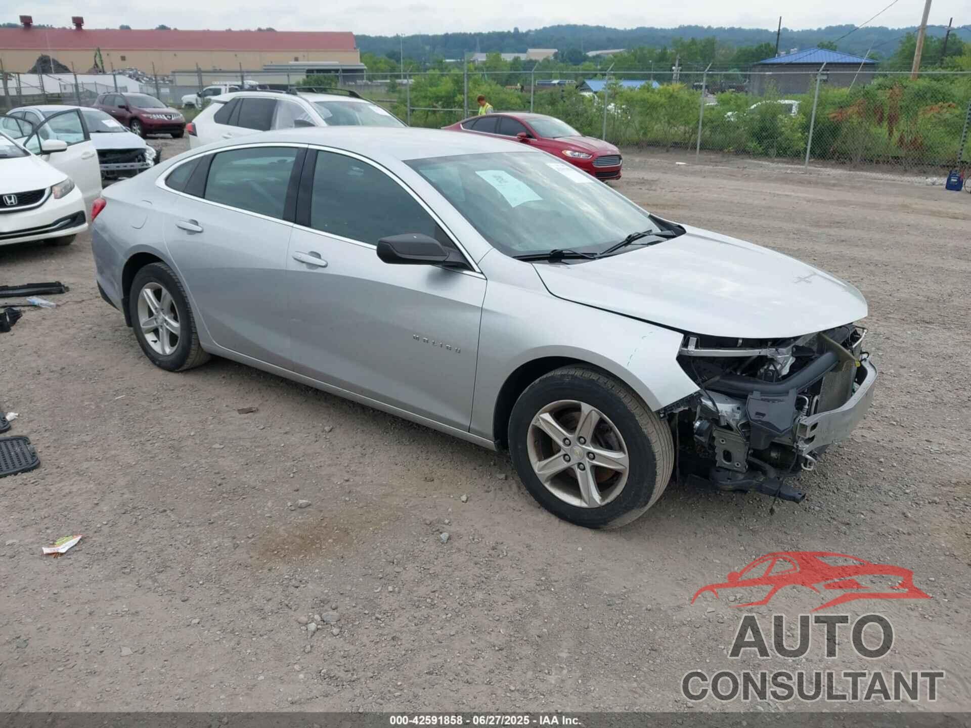 CHEVROLET MALIBU 2019 - 1G1ZB5ST7KF143722