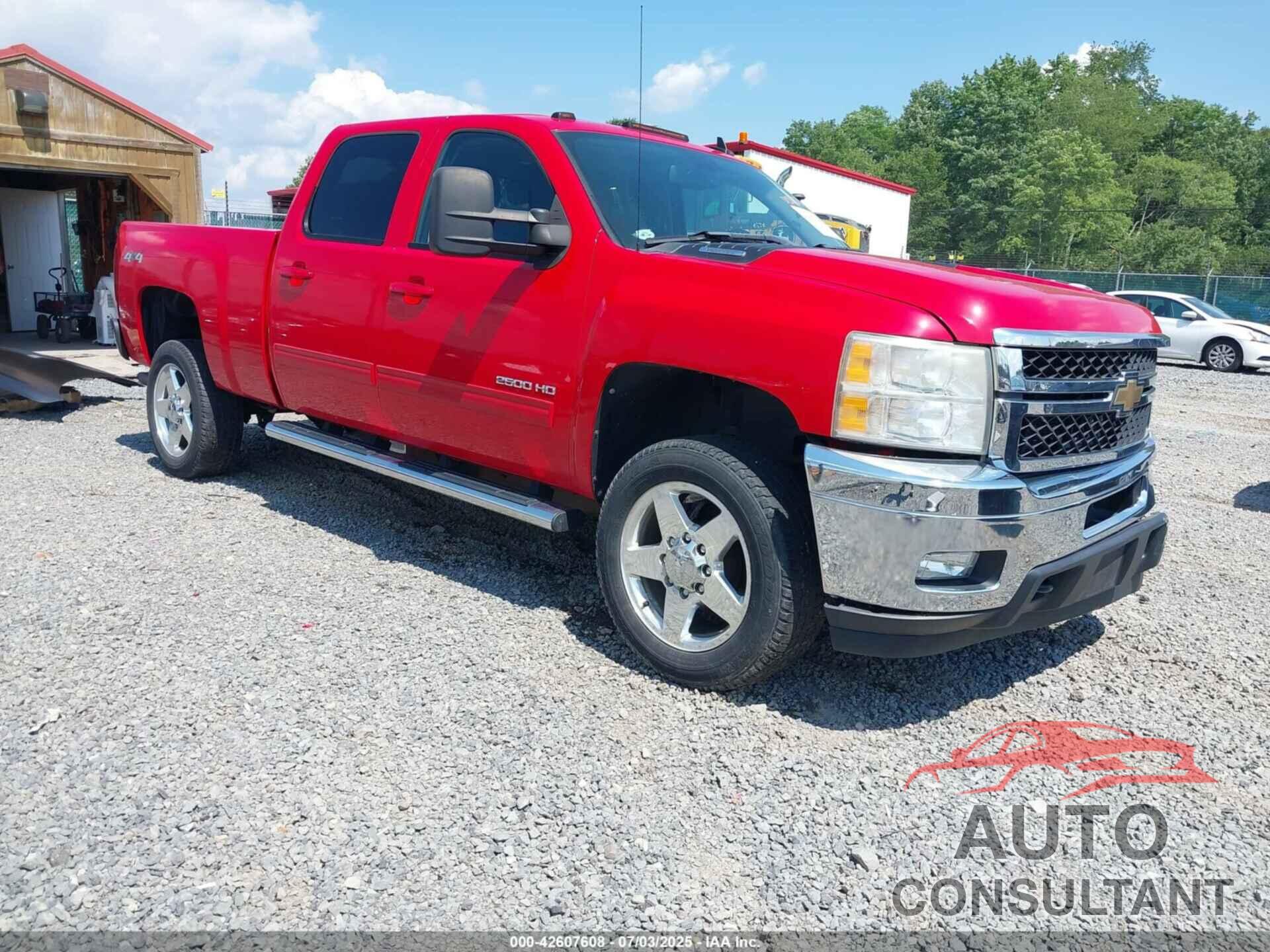 CHEVROLET SILVERADO 2500HD 2011 - 1GC1KYCG6BF262384