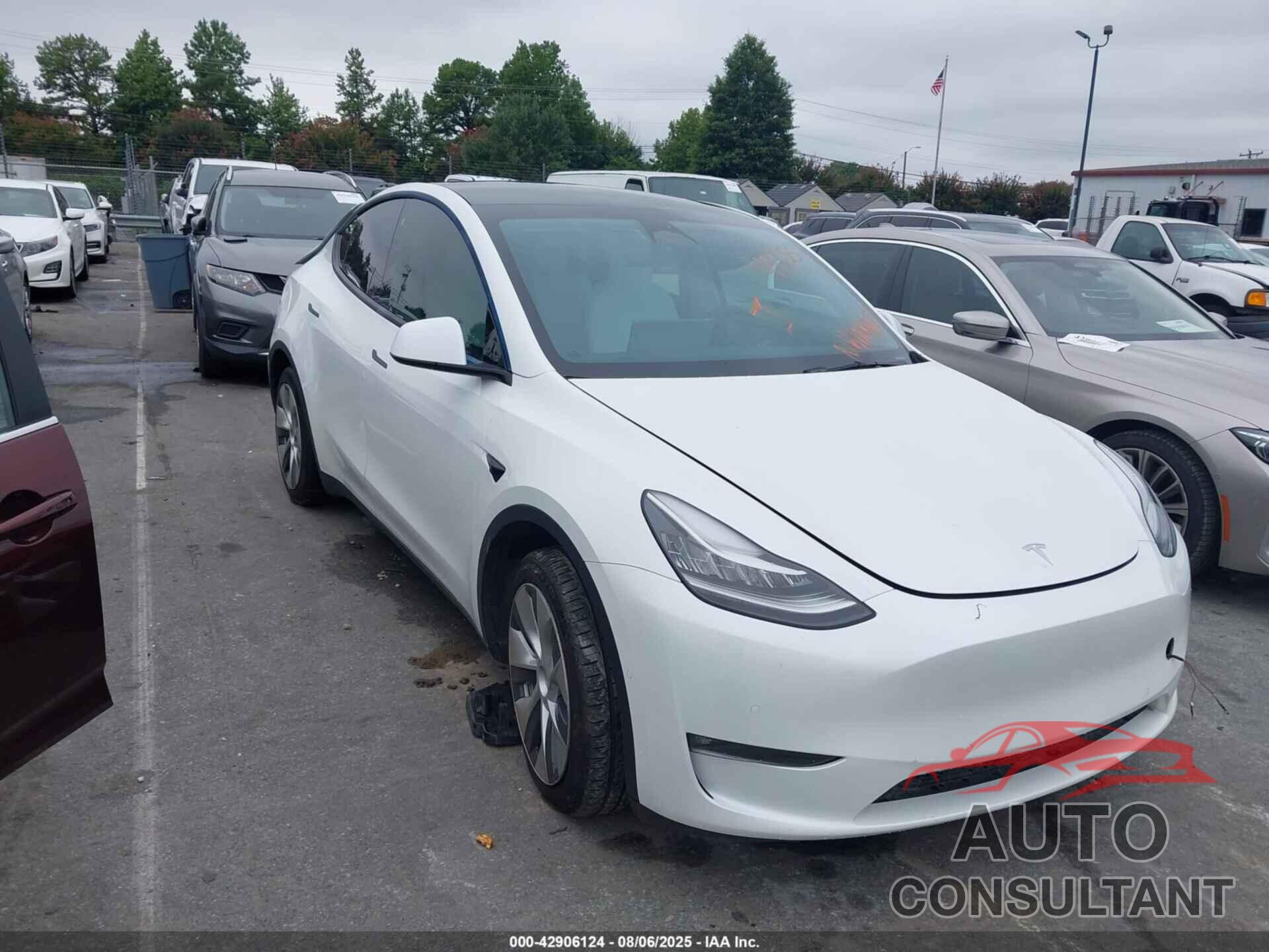 TESLA MODEL Y 2022 - 7SAYGDEE4NF354268