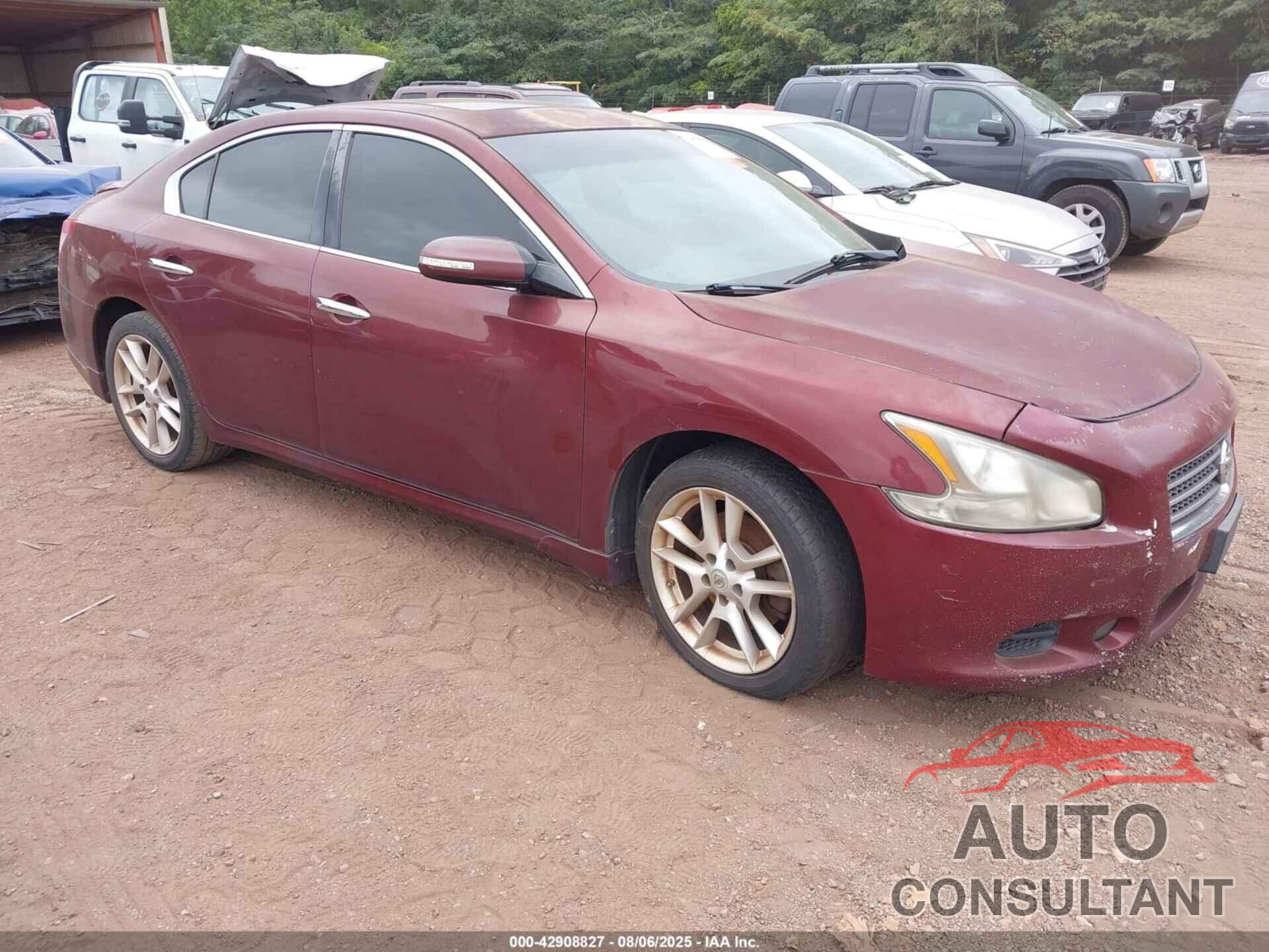 NISSAN MAXIMA 2011 - 1N4AA5AP5BC833312