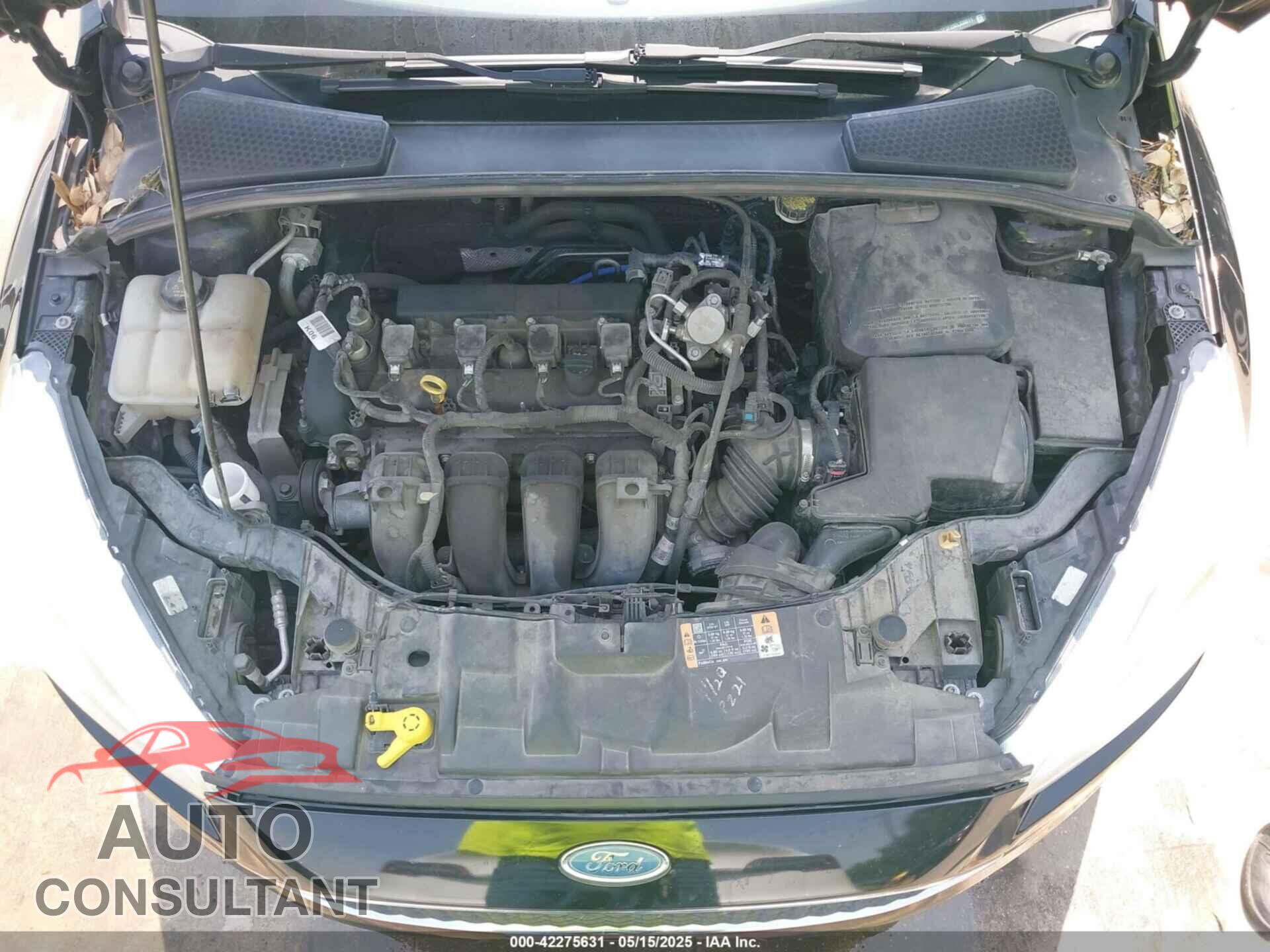 FORD FOCUS 2016 - 1FADP3F20GL336611