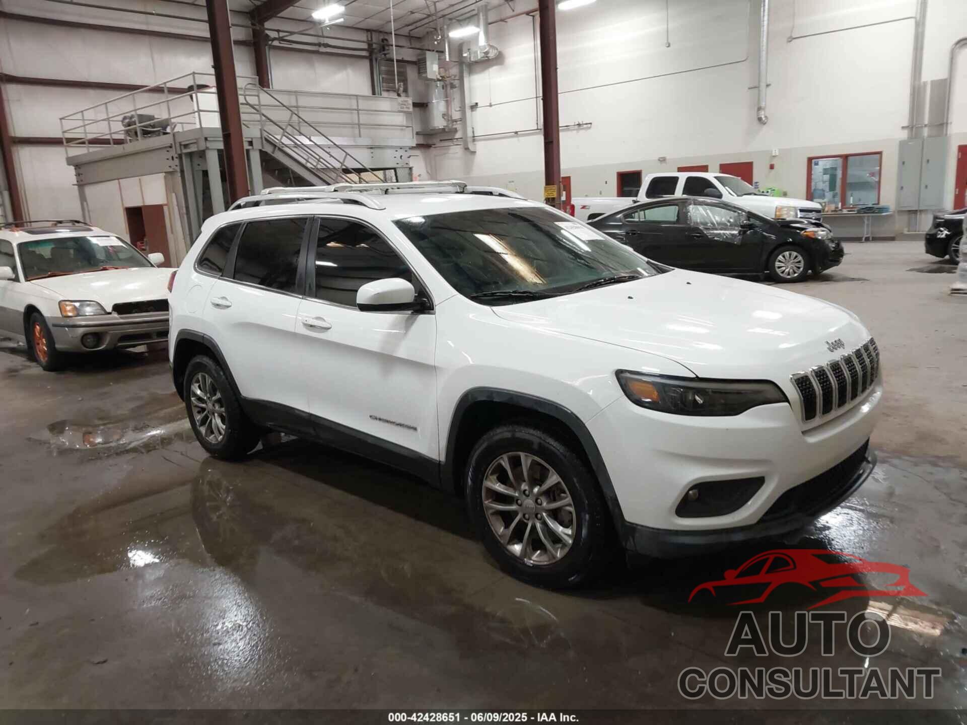 JEEP CHEROKEE 2019 - 1C4PJMLX8KD484233