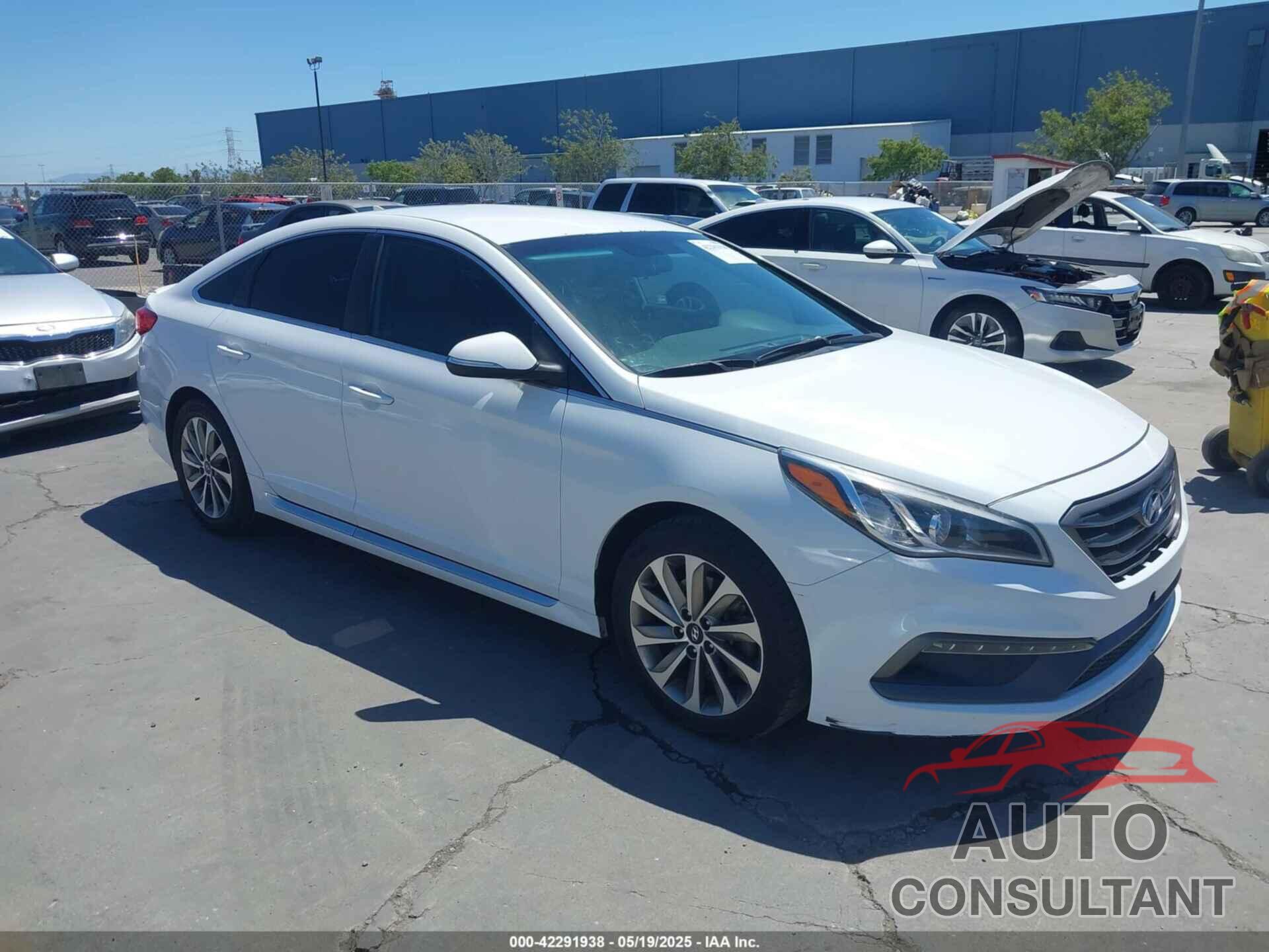 HYUNDAI SONATA 2016 - 5NPE34AF7GH377784