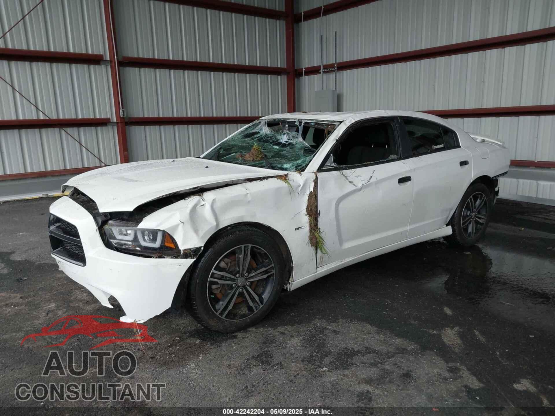 DODGE CHARGER 2014 - 2C3CDXDT0EH319887