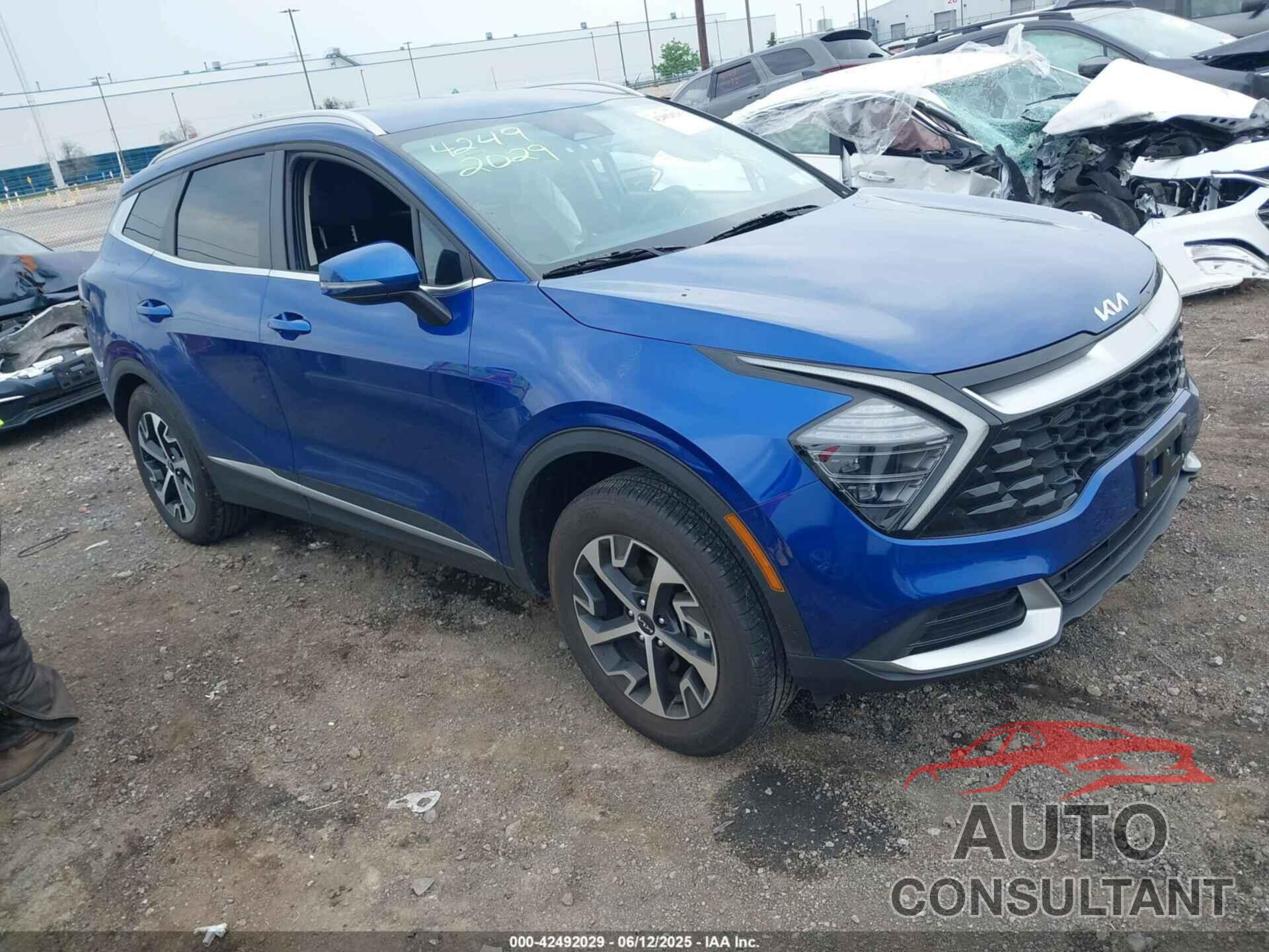 KIA SPORTAGE 2024 - 5XYK3CDF1RG210078