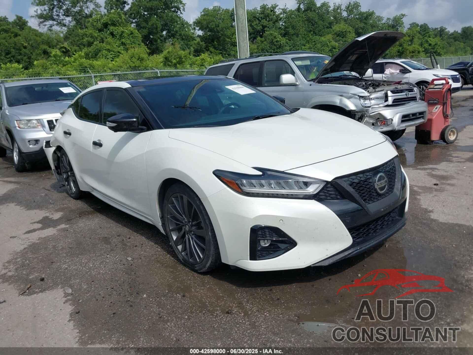 NISSAN MAXIMA 2019 - 1N4AA6AV7KC382775