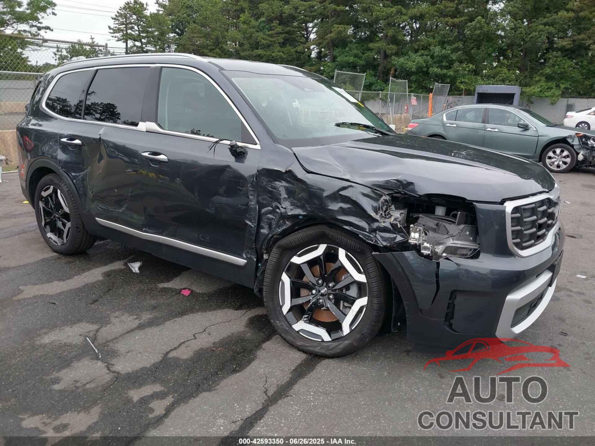 KIA TELLURIDE 2024 - 5XYP6DGC4RG551091