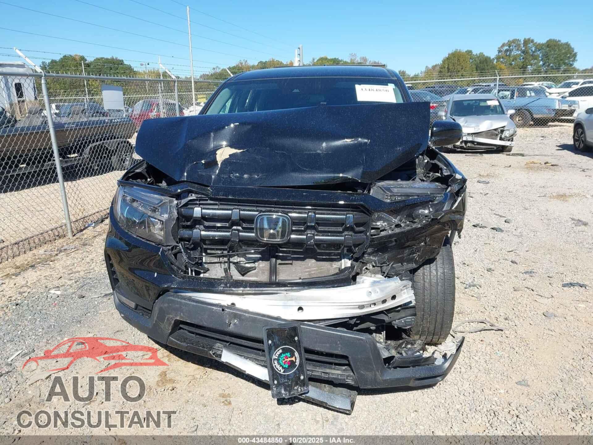 HONDA RIDGELINE 2024 - 5FPYK3F12RB032968