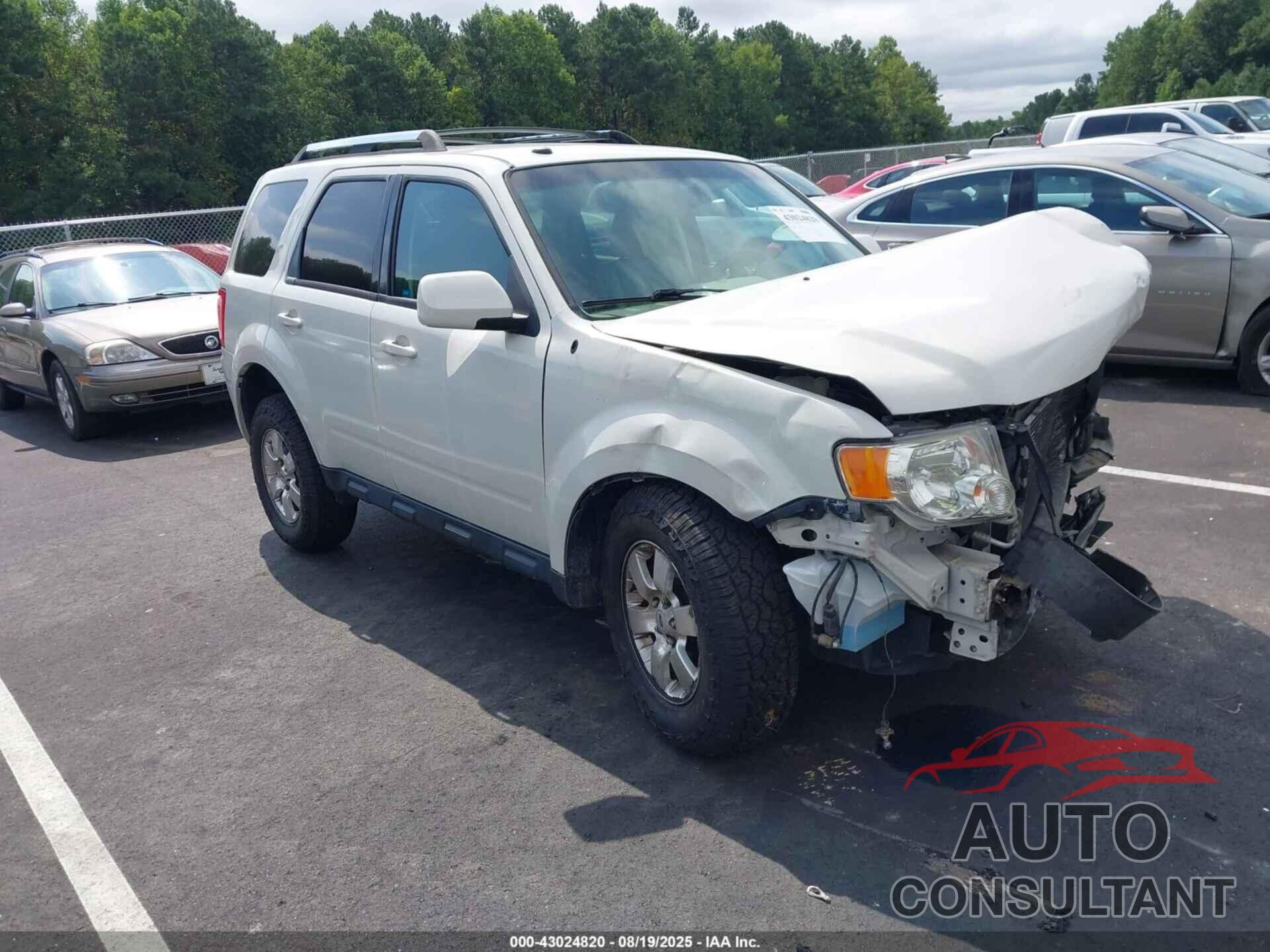 FORD ESCAPE 2011 - 1FMCU0E71BKB18990