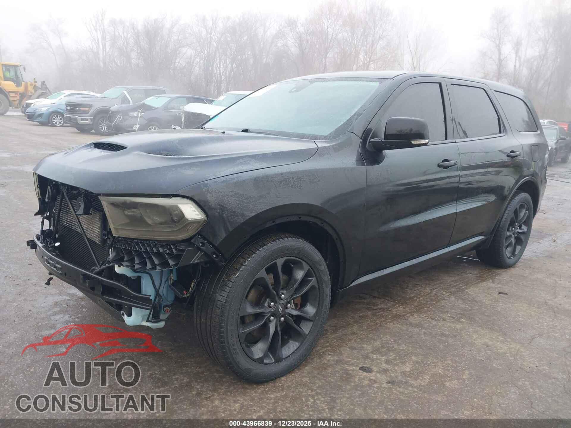 DODGE DURANGO 2019 - 1C4SDJCTXKC744960