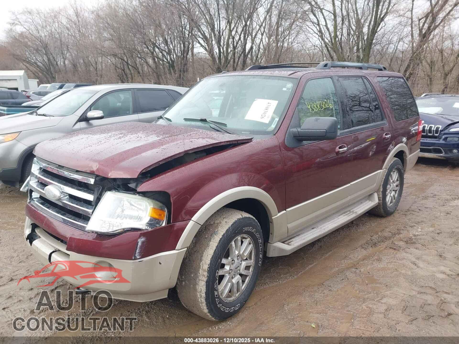 FORD EXPEDITION 2010 - 1FMJU1J54AEA34452