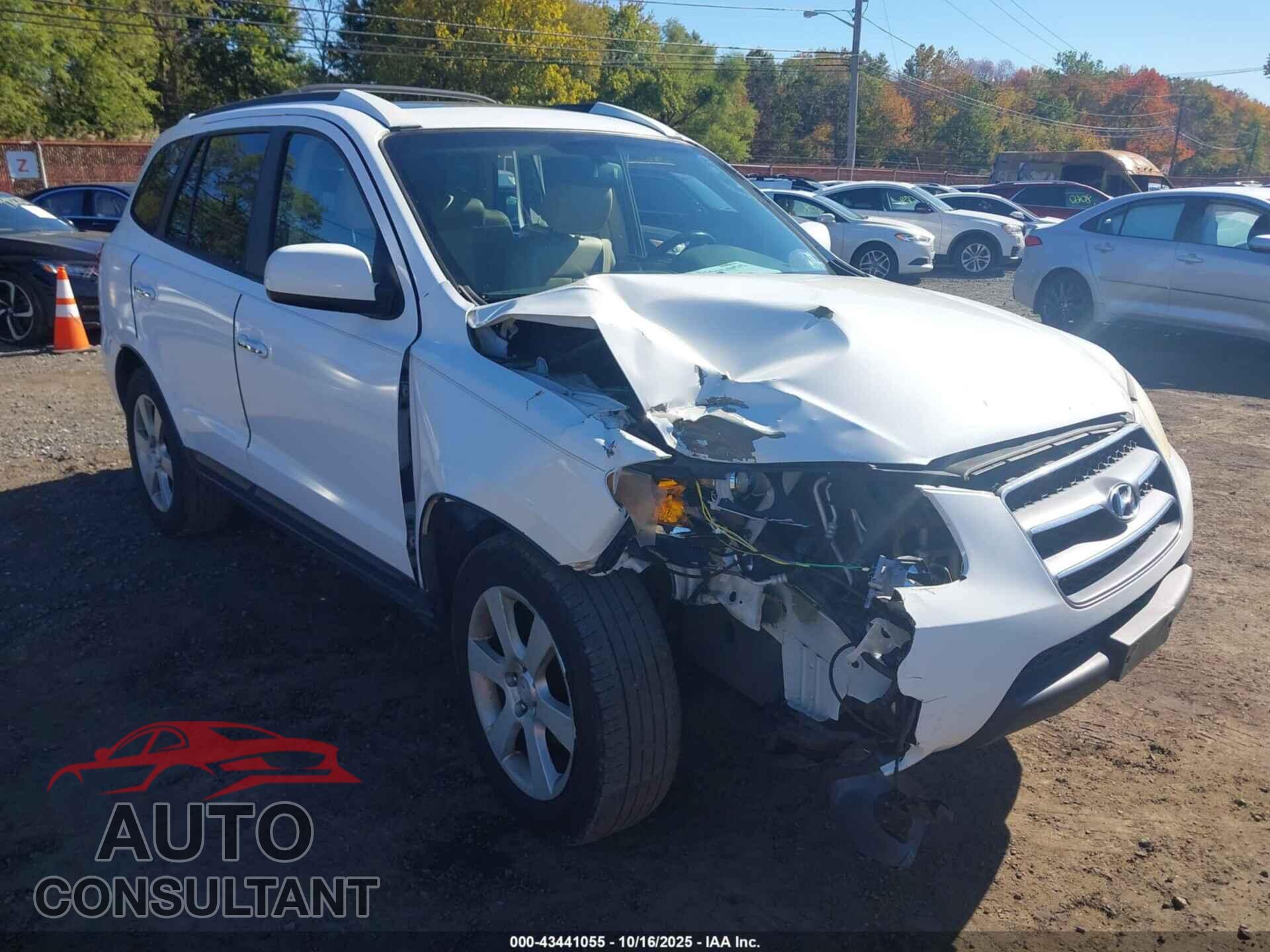 HYUNDAI SANTA FE 2009 - 5NMSH13E69H257496