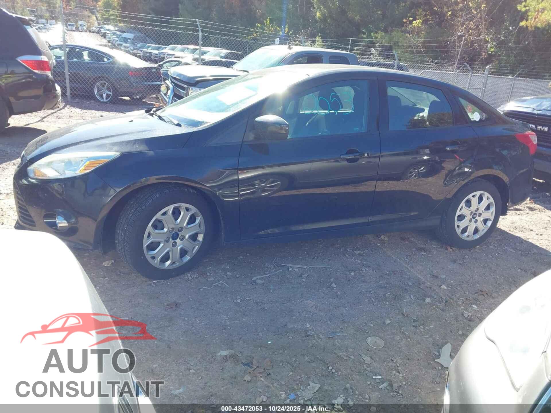 FORD FOCUS 2012 - 1FAHP3F20CL427518