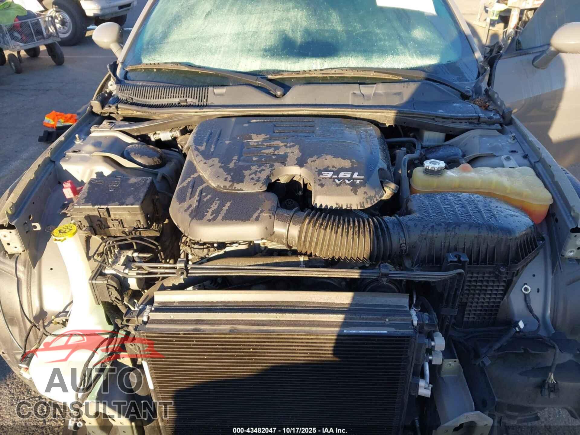 DODGE CHALLENGER 2019 - 2C3CDZAG5KH666632