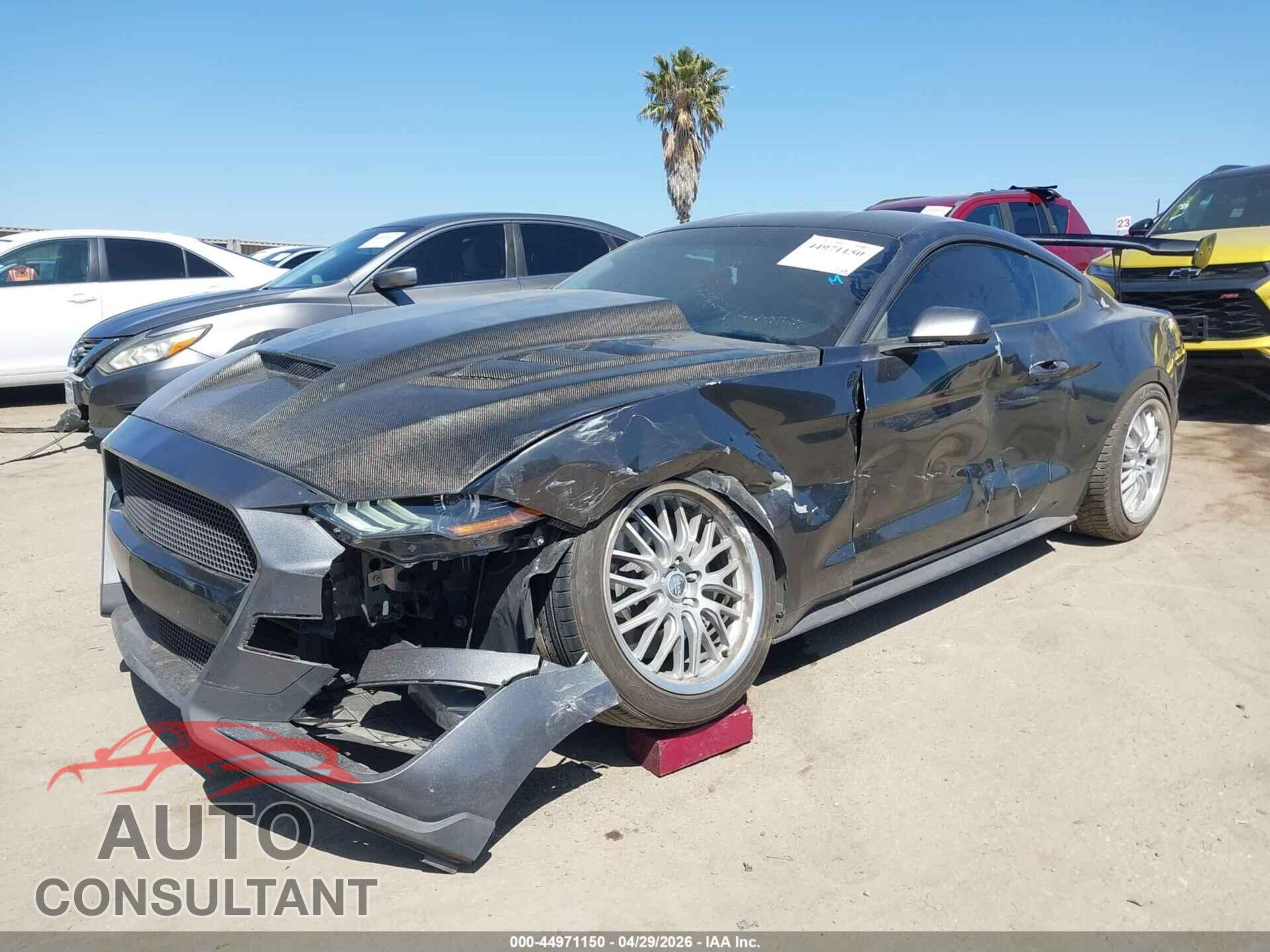 FORD MUSTANG 2019 - 1FA6P8TH2K5118861
