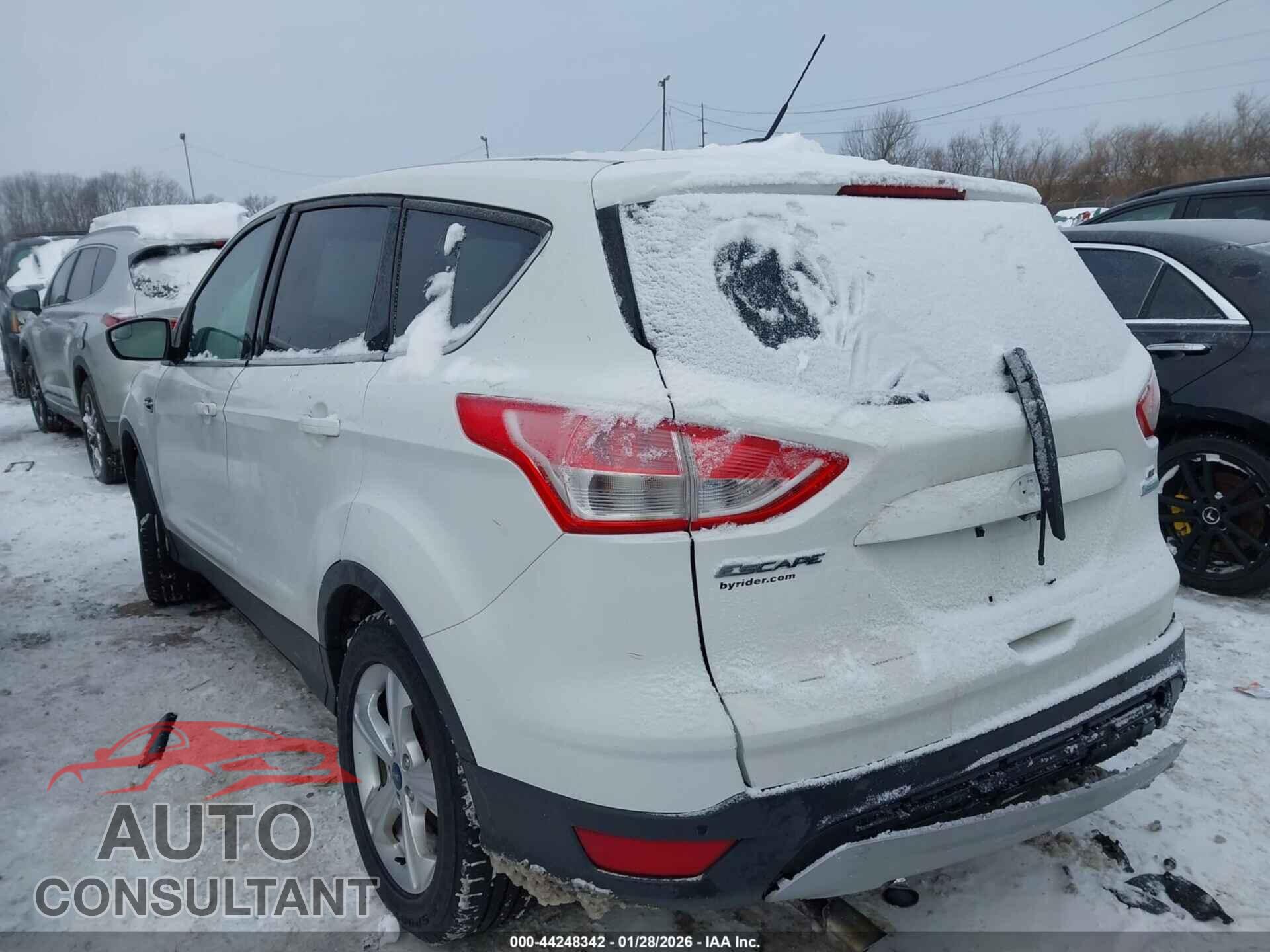 FORD ESCAPE 2014 - 1FMCU0GX4EUD09843