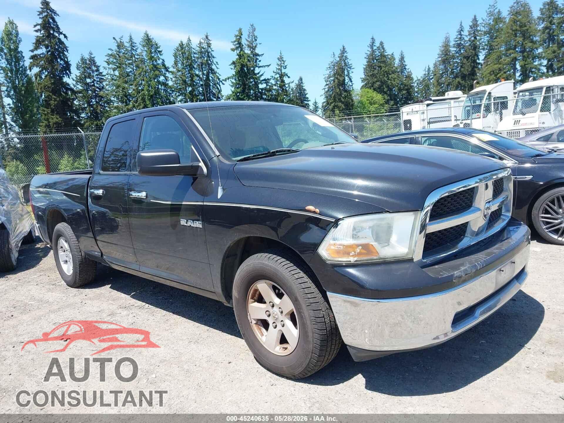 DODGE RAM 1500 2010 - 1D7RB1GP3AS155549