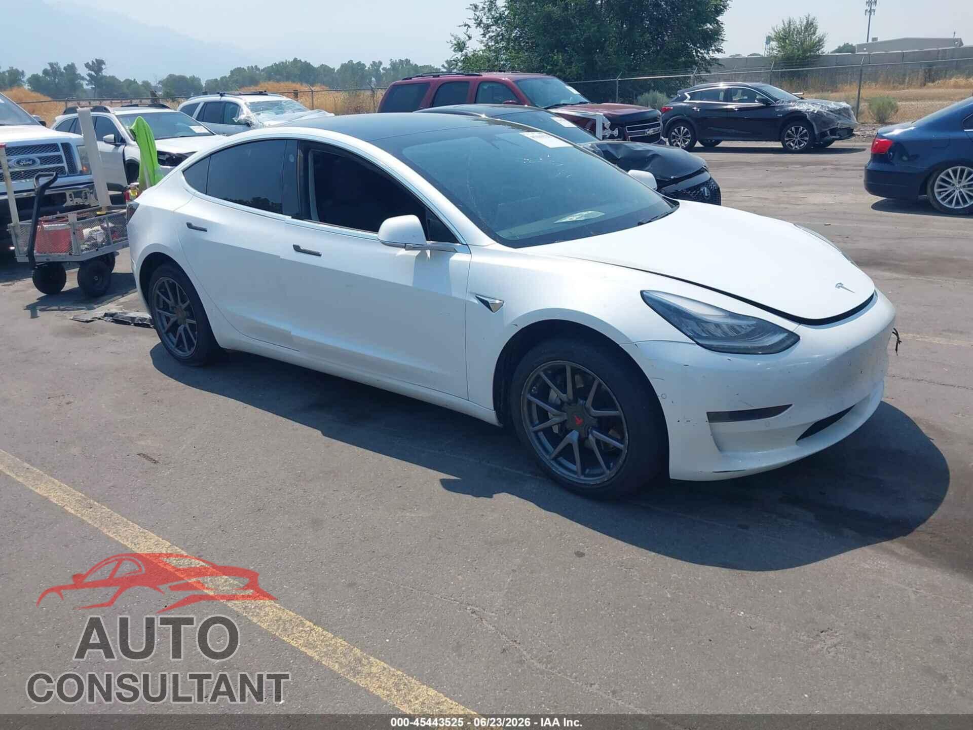 TESLA MODEL 3 2019 - 5YJ3E1EA8KF435701