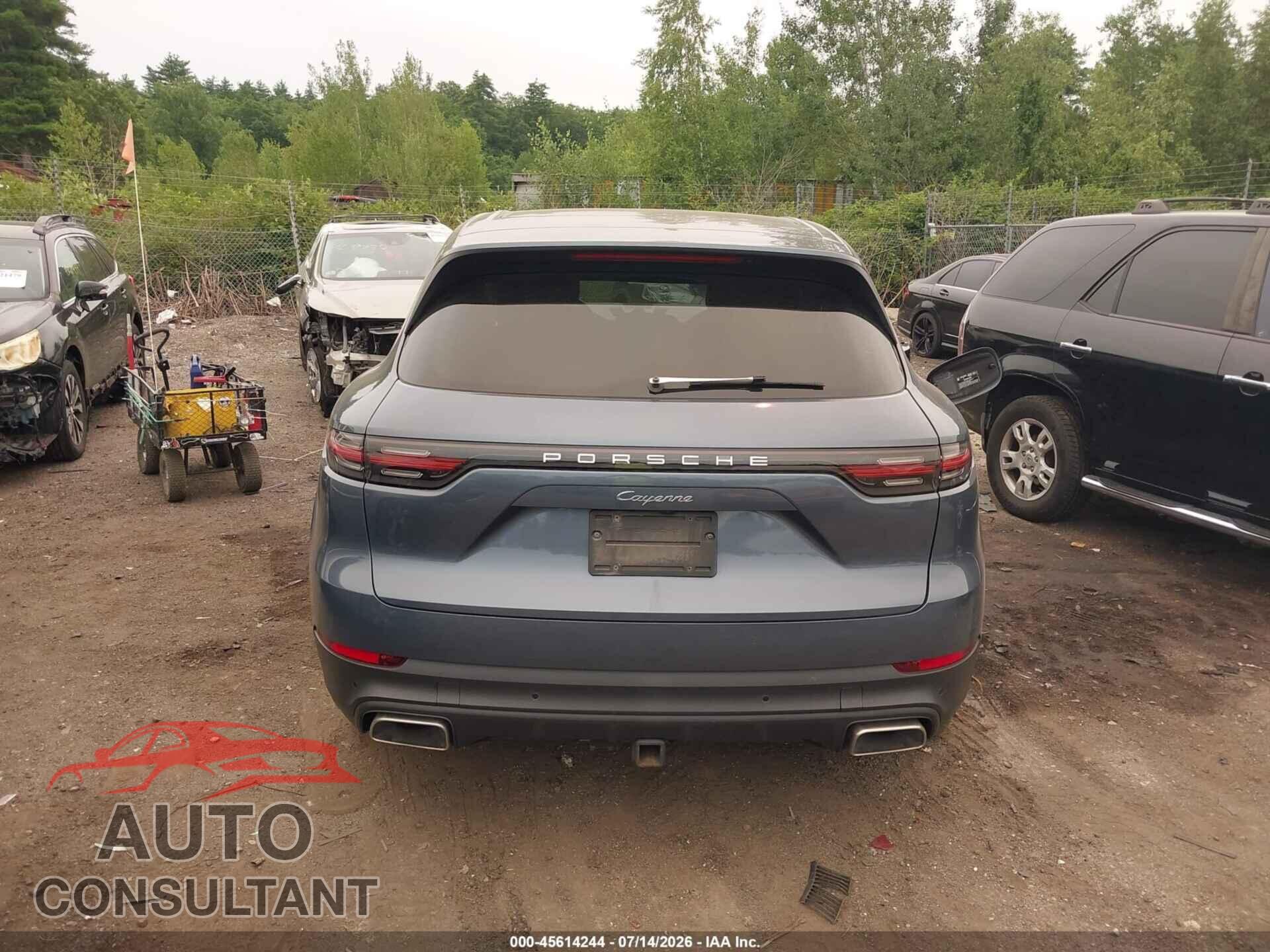 PORSCHE CAYENNE 2019 - WP1AA2AY5KDA00605