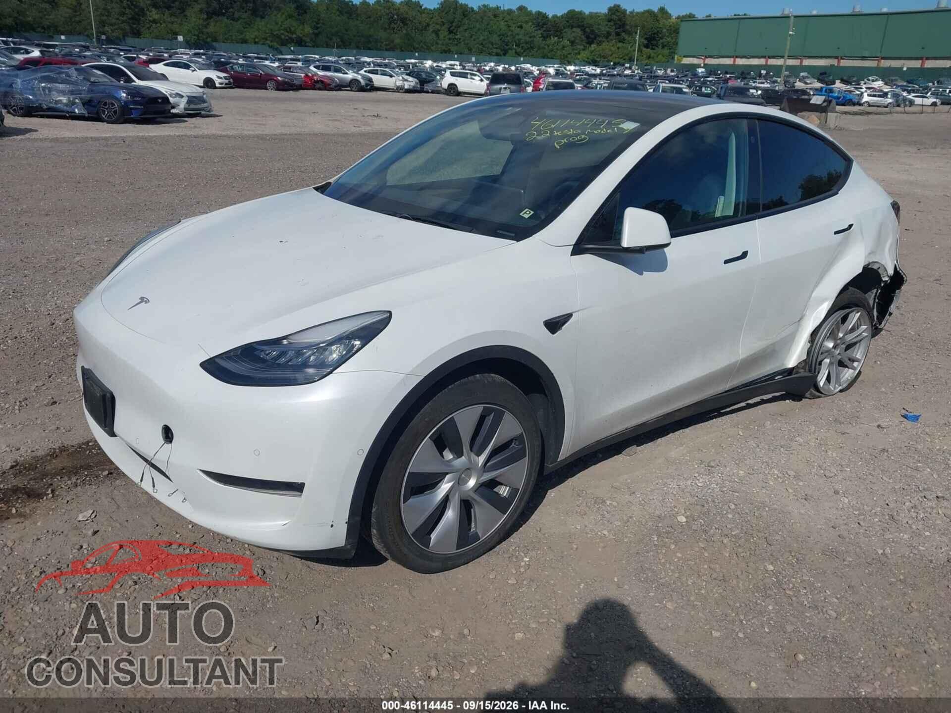 TESLA MODEL Y 2022 - 7SAYGDEE3NA012419