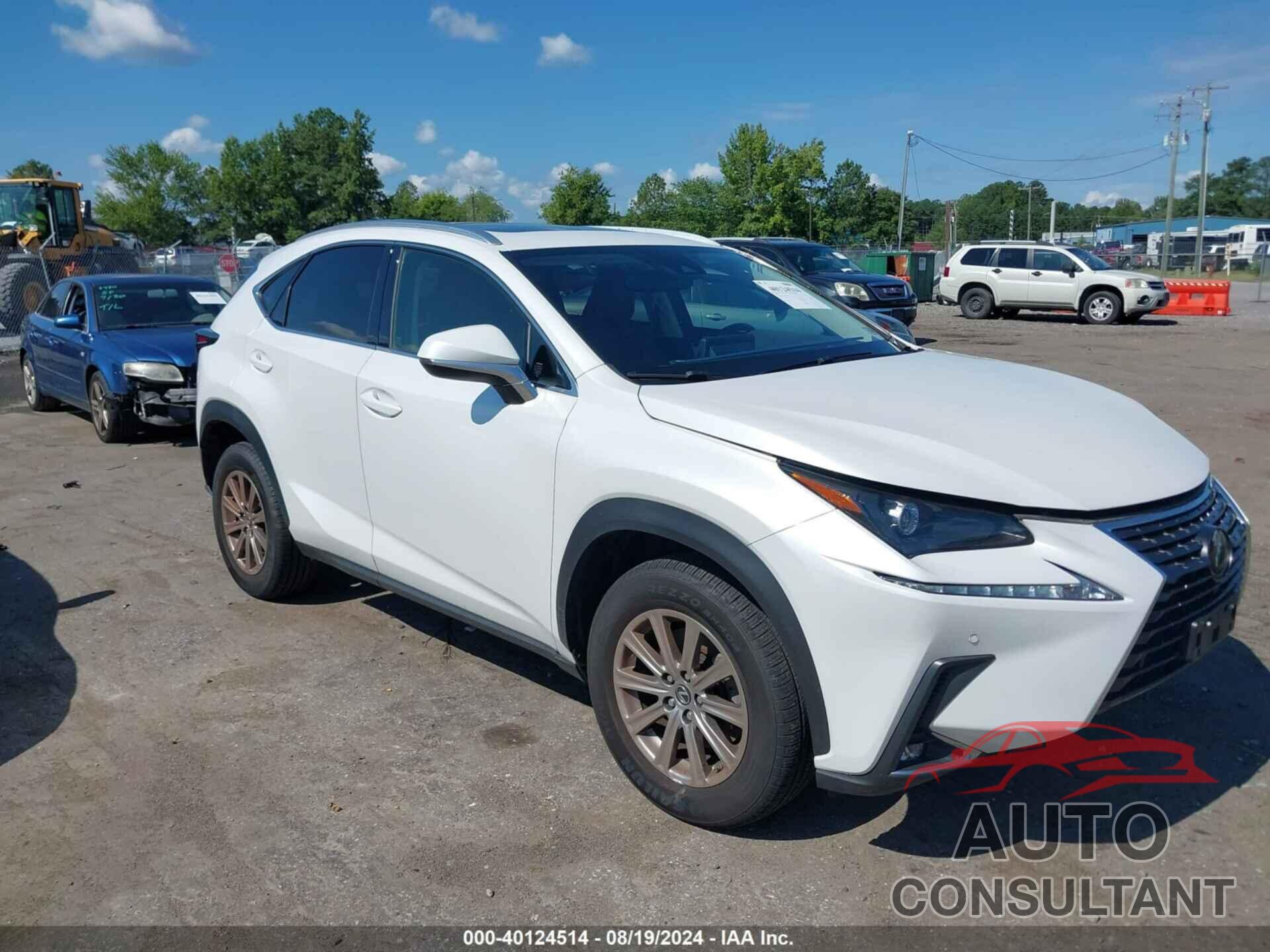 LEXUS NX 300 2021 - JTJDARDZ7M5021932