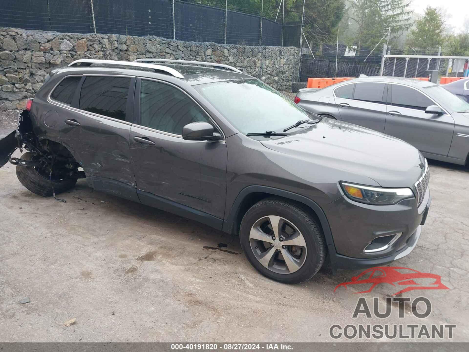 JEEP CHEROKEE 2019 - 1C4PJMDX3KD431177