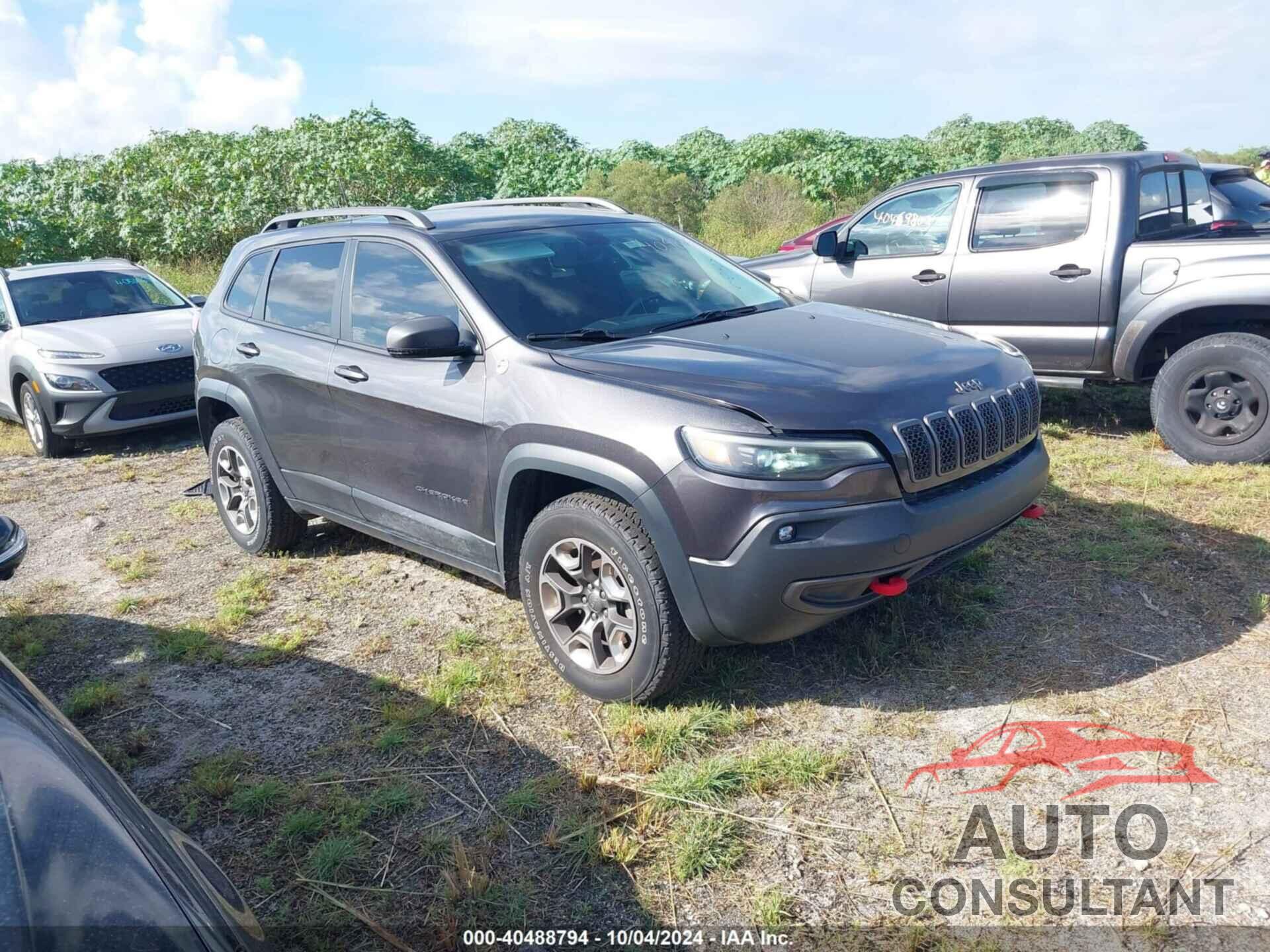 JEEP CHEROKEE 2019 - 1C4PJMBX8KD335192
