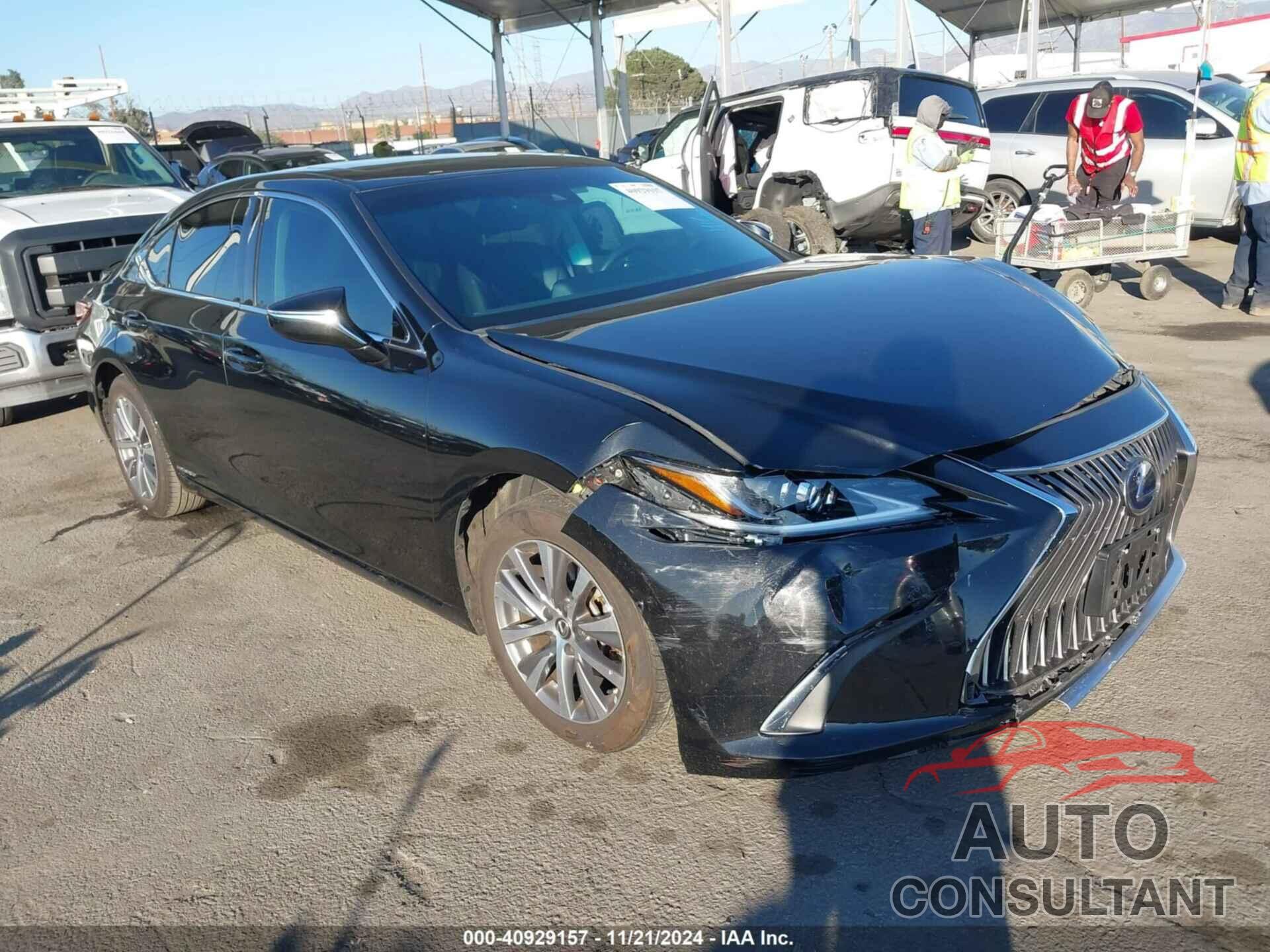 LEXUS ES 300H 2021 - 58ACA1C16MU012712