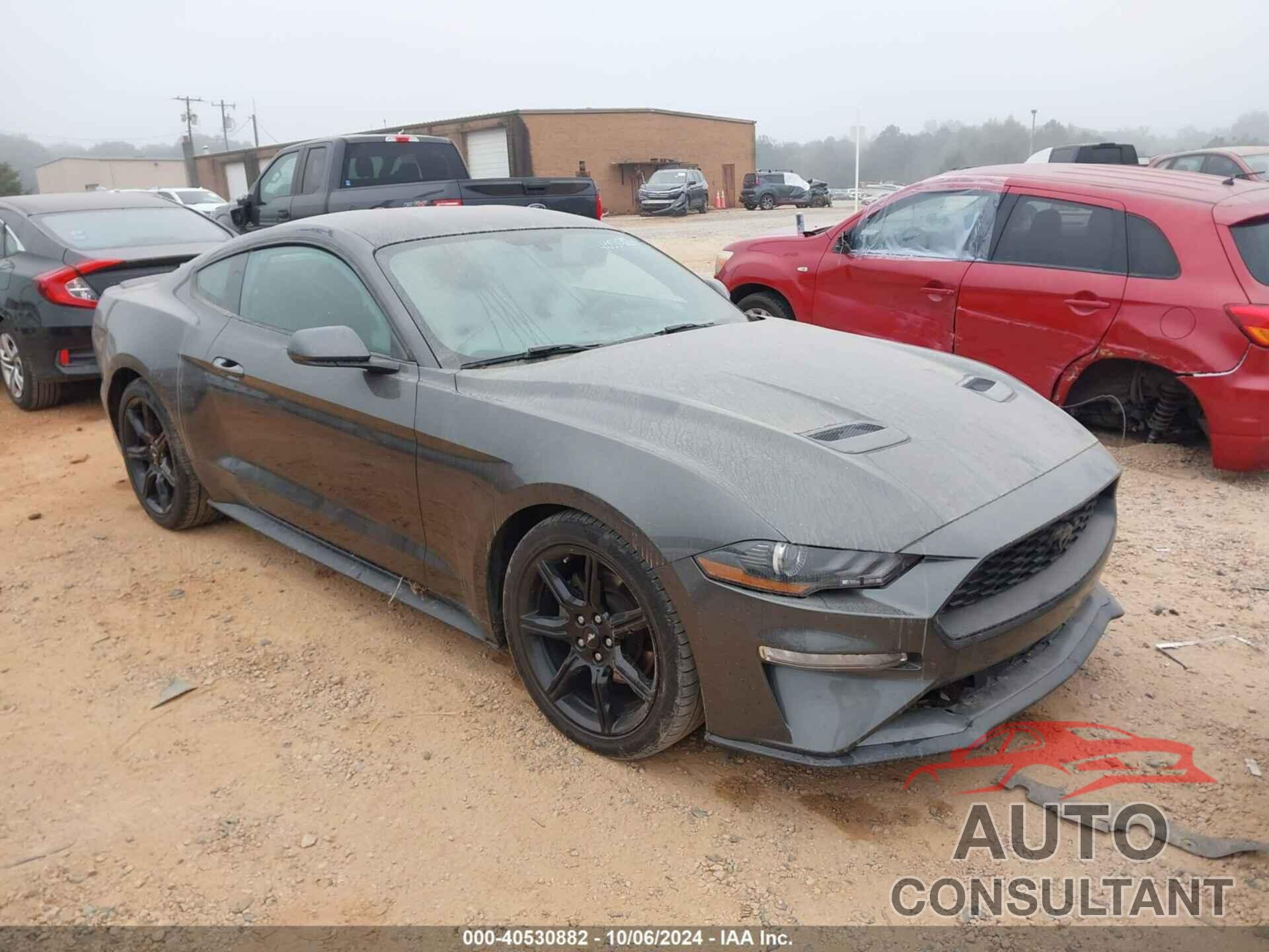 FORD MUSTANG 2019 - 1FA6P8TH8K5103541