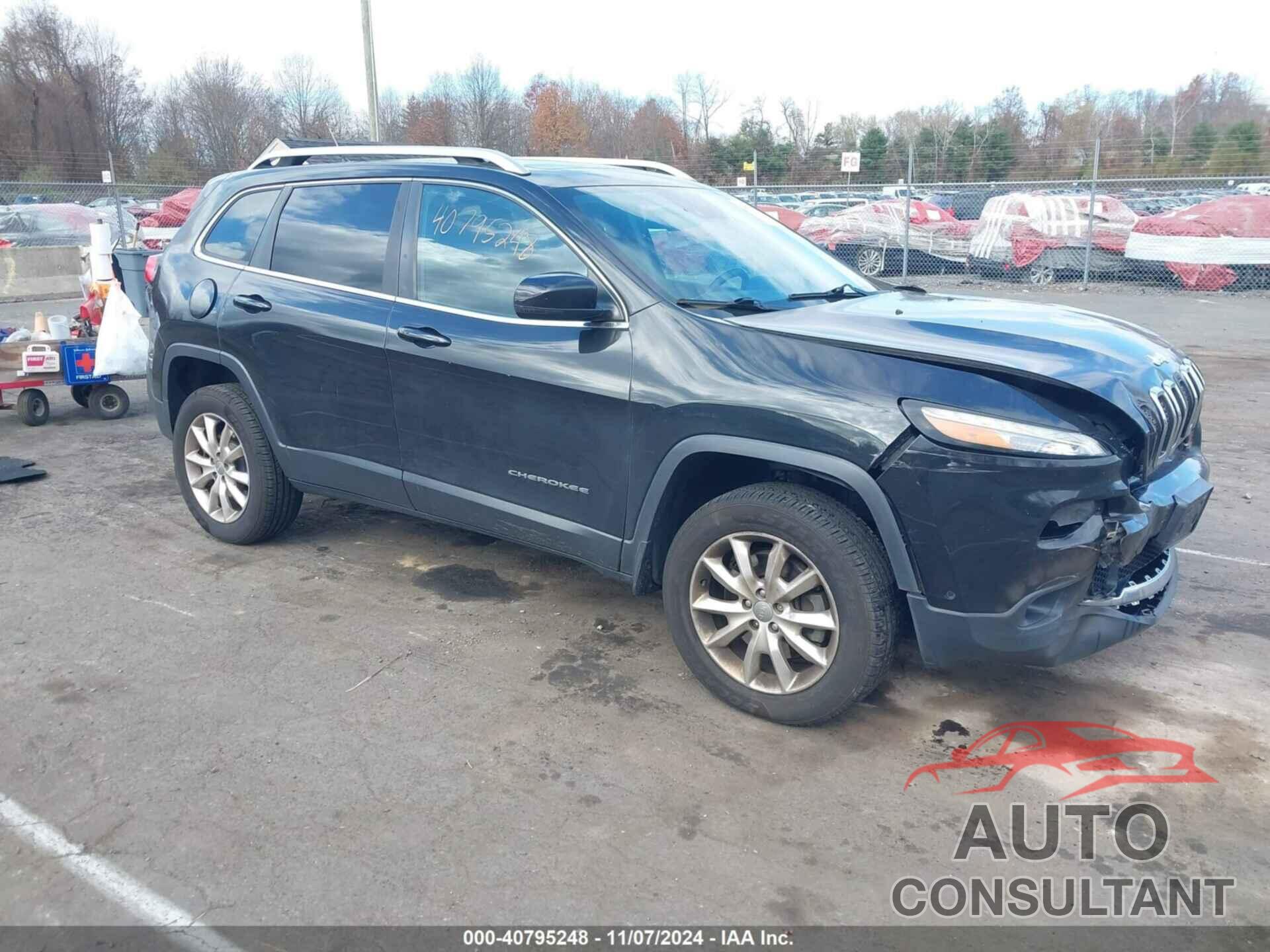 JEEP CHEROKEE 2014 - 1C4PJMDS3EW256880