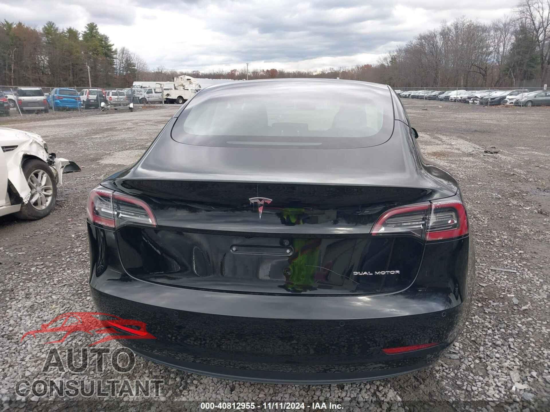 TESLA MODEL 3 2021 - 5YJ3E1EB6MF055901