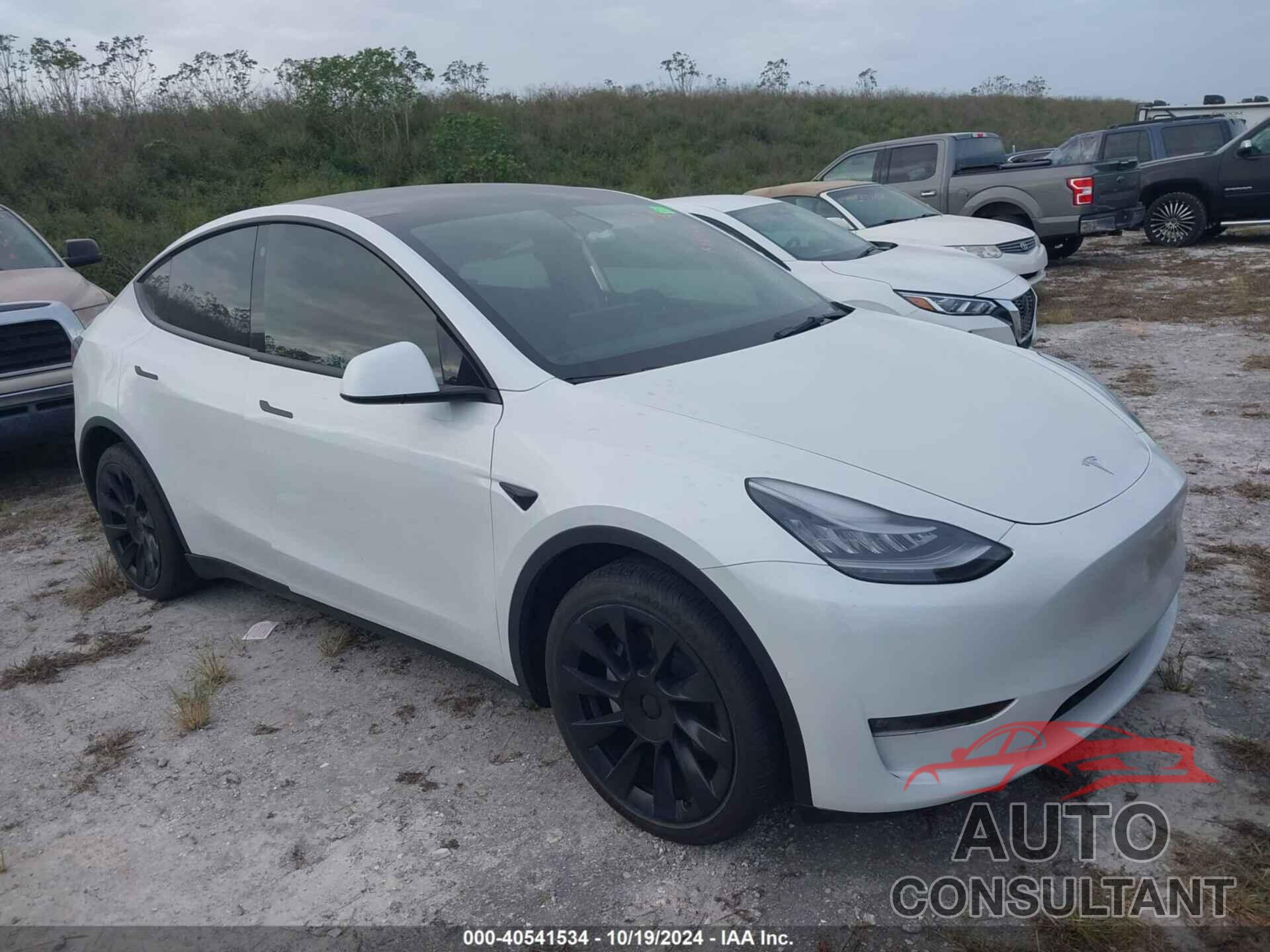 TESLA MODEL Y 2021 - 5YJYGDEE1MF112176