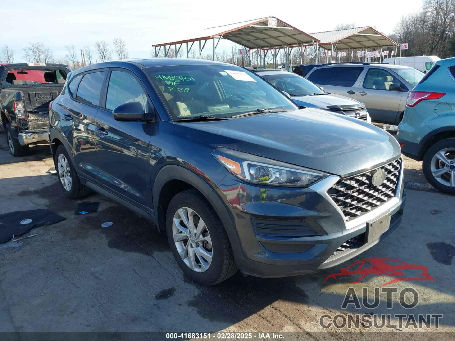 HYUNDAI TUCSON 2019 - KM8J2CA42KU842735