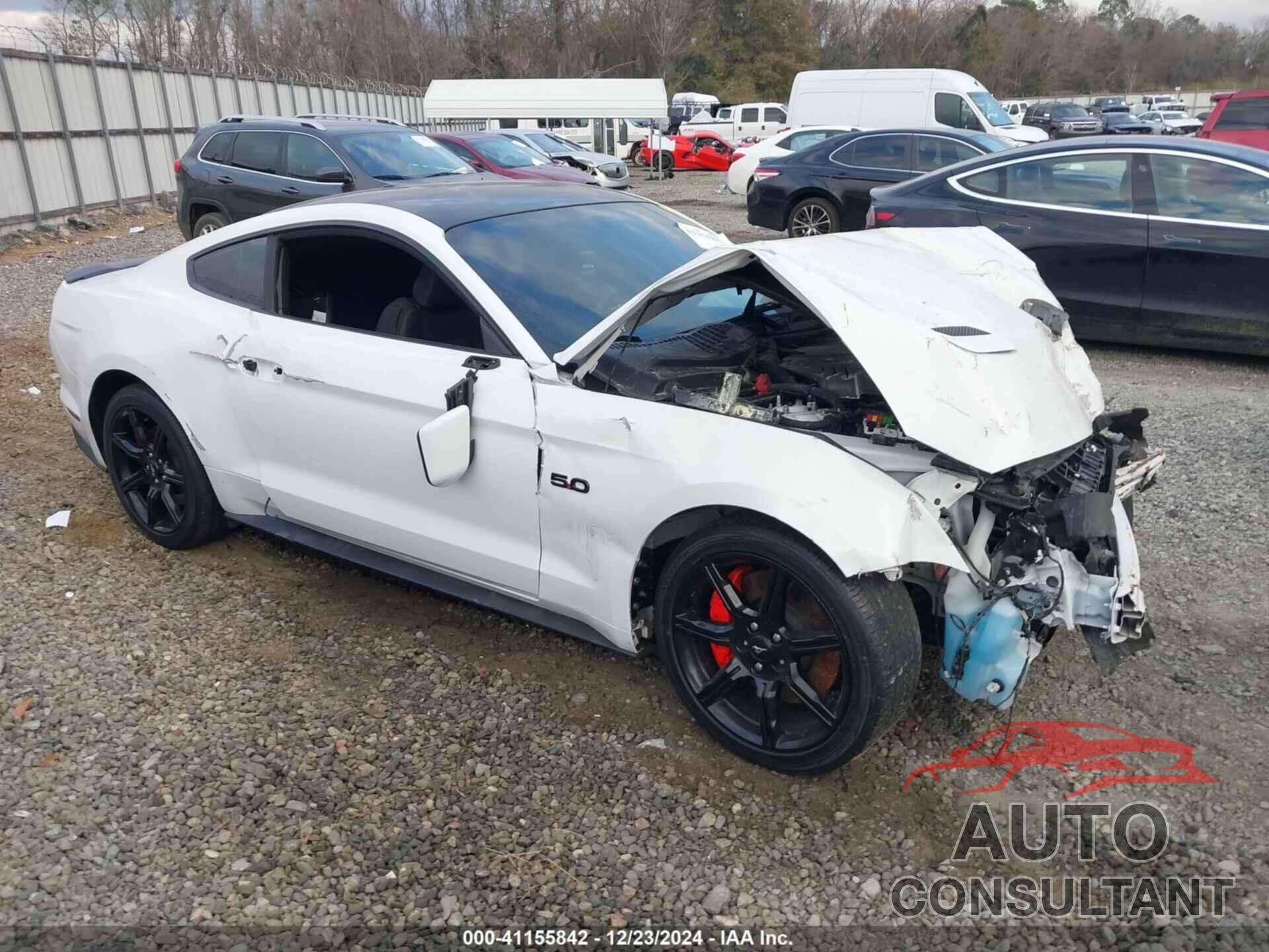 FORD MUSTANG 2019 - 1FA6P8CF4K5176386