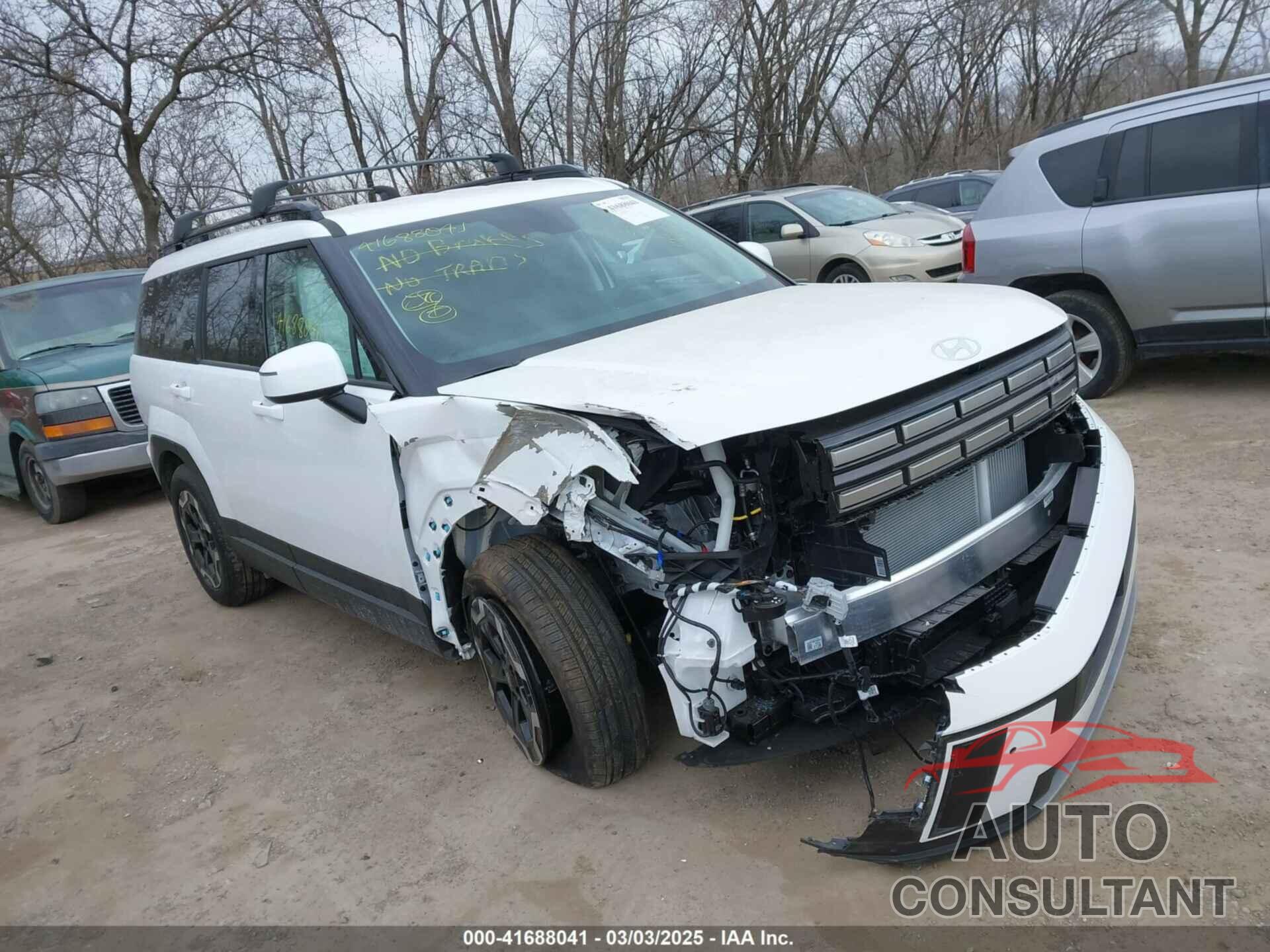 HYUNDAI SANTA FE 2025 - 5NMP2DGL9SH119863