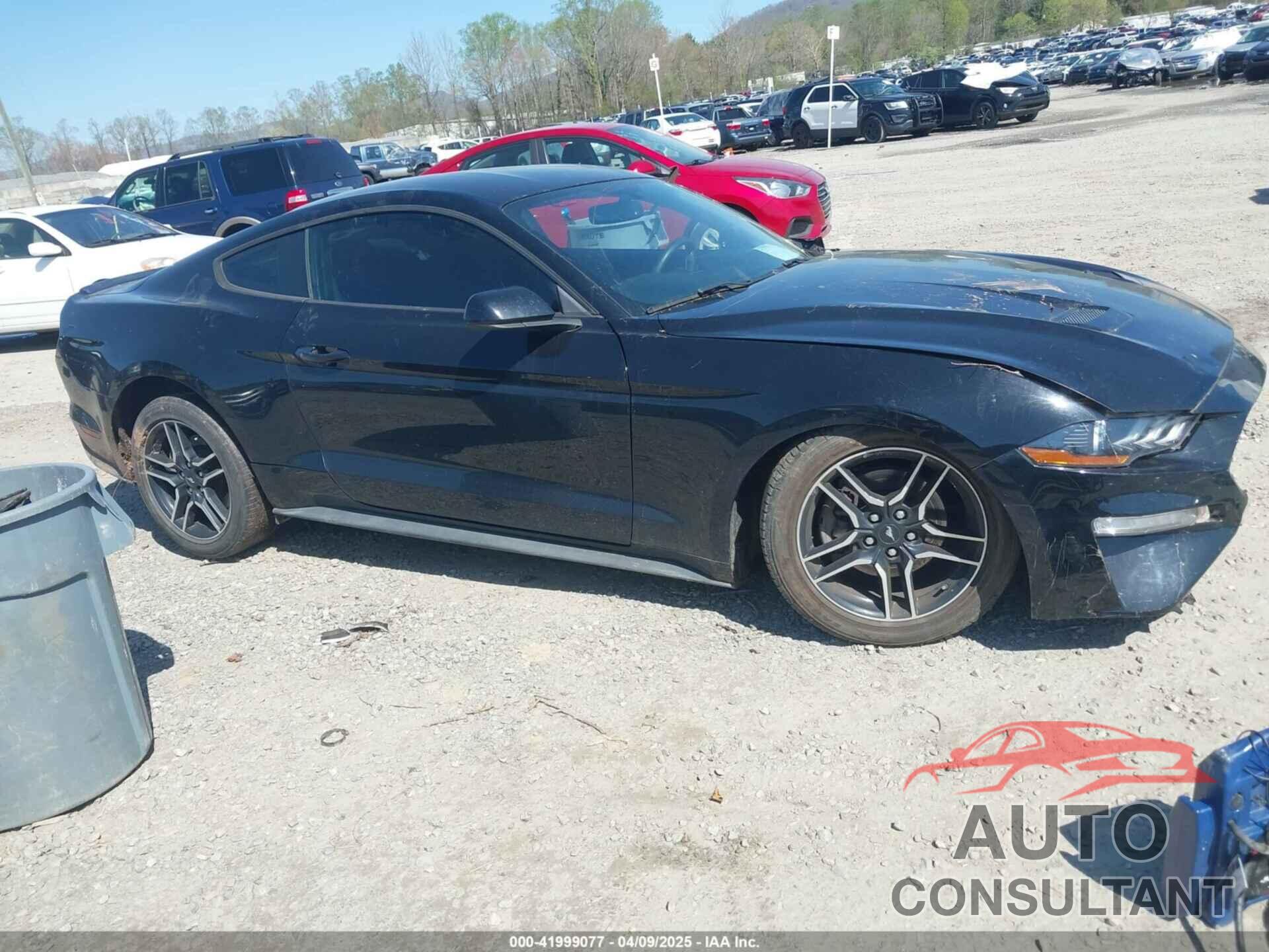FORD MUSTANG 2019 - 1FA6P8TH5K5185938