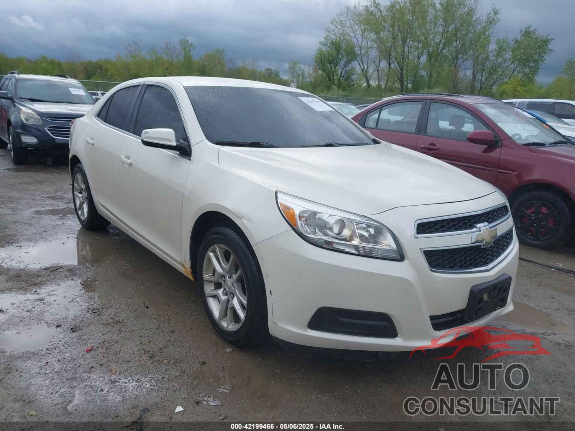 CHEVROLET MALIBU 2013 - 1G11D5SR6DF119460