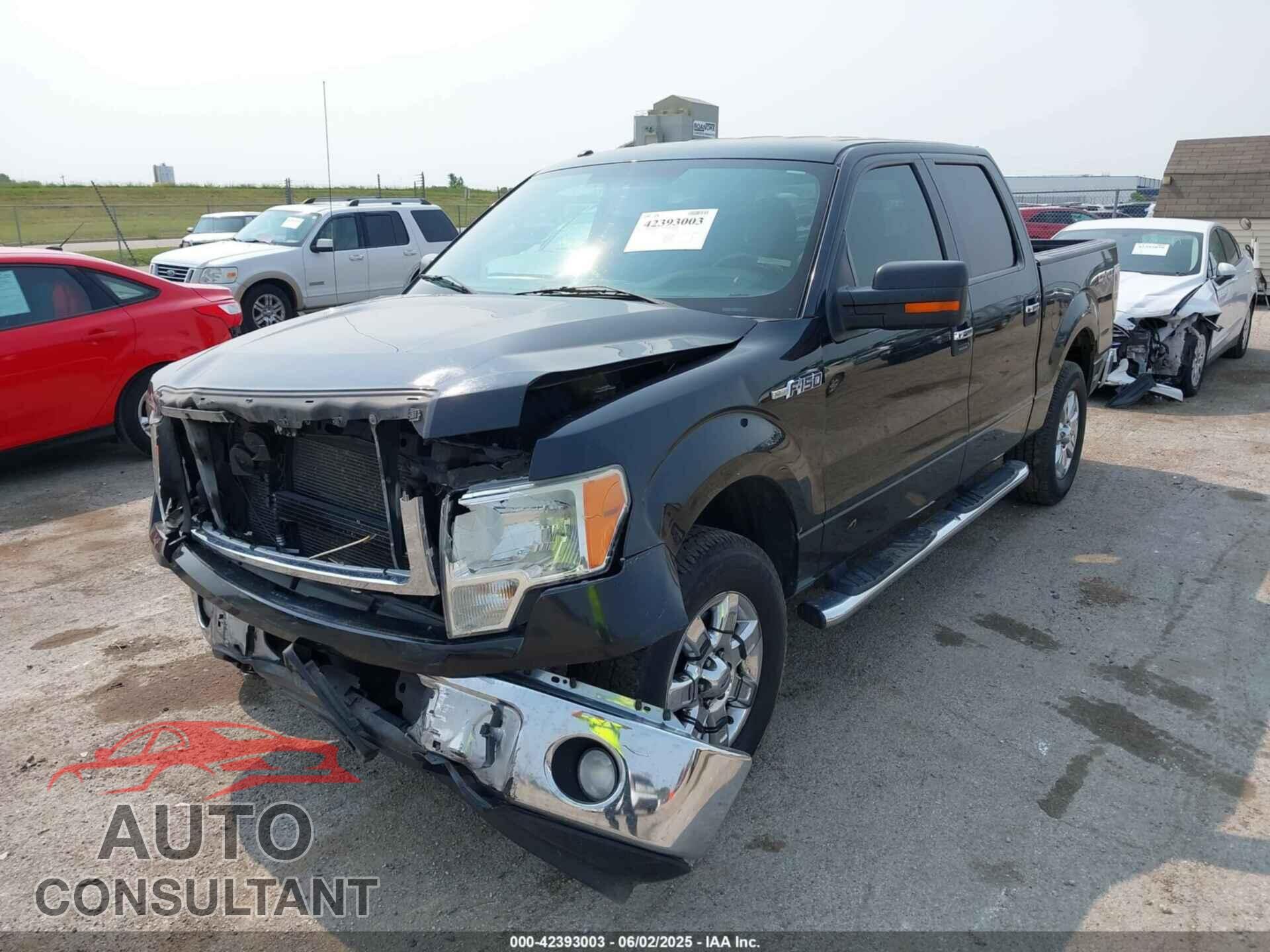 FORD F-150 2013 - 1FTFW1EF2DFB84419
