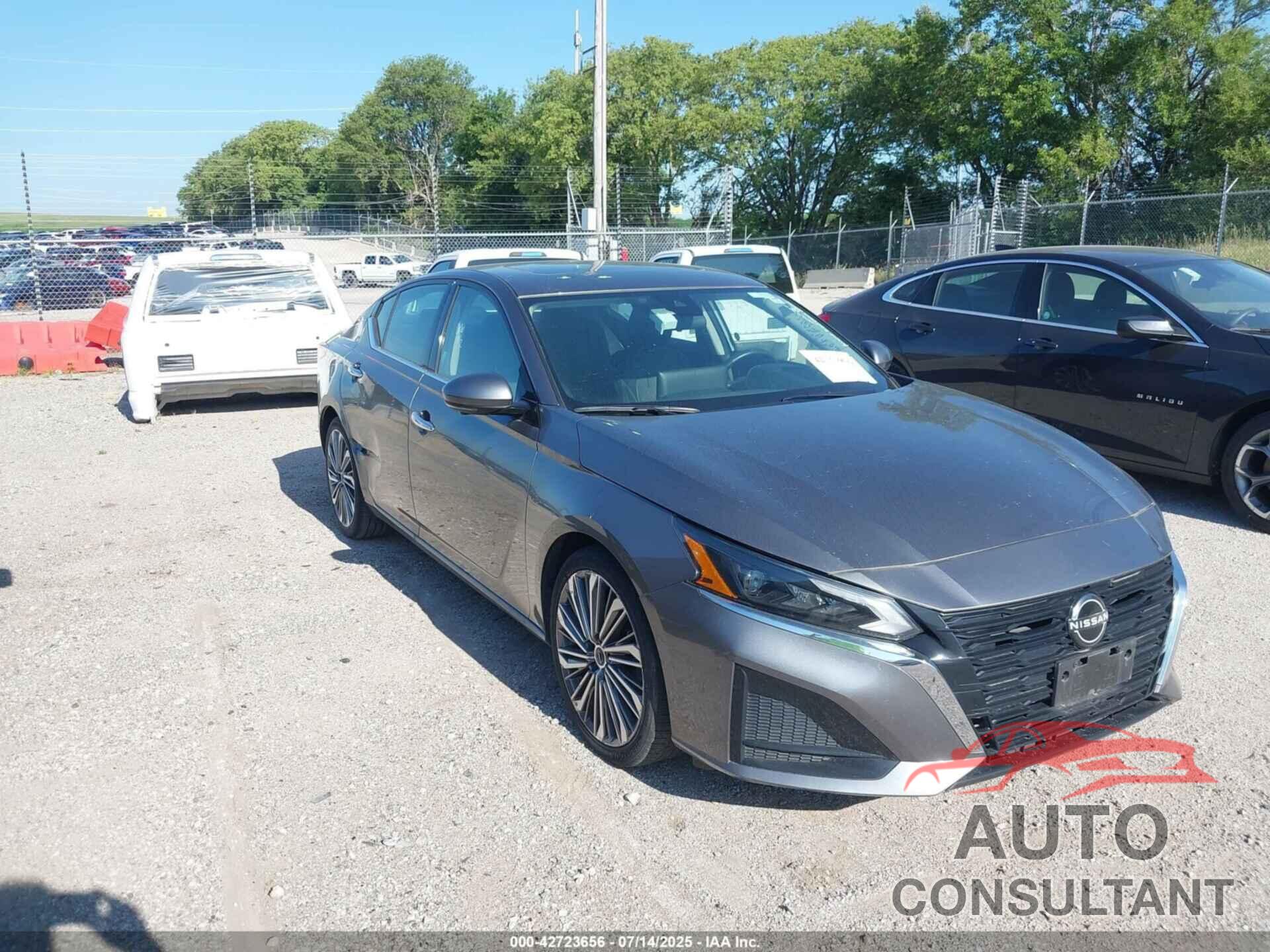 NISSAN ALTIMA 2023 - 1N4BL4EV7PN374880