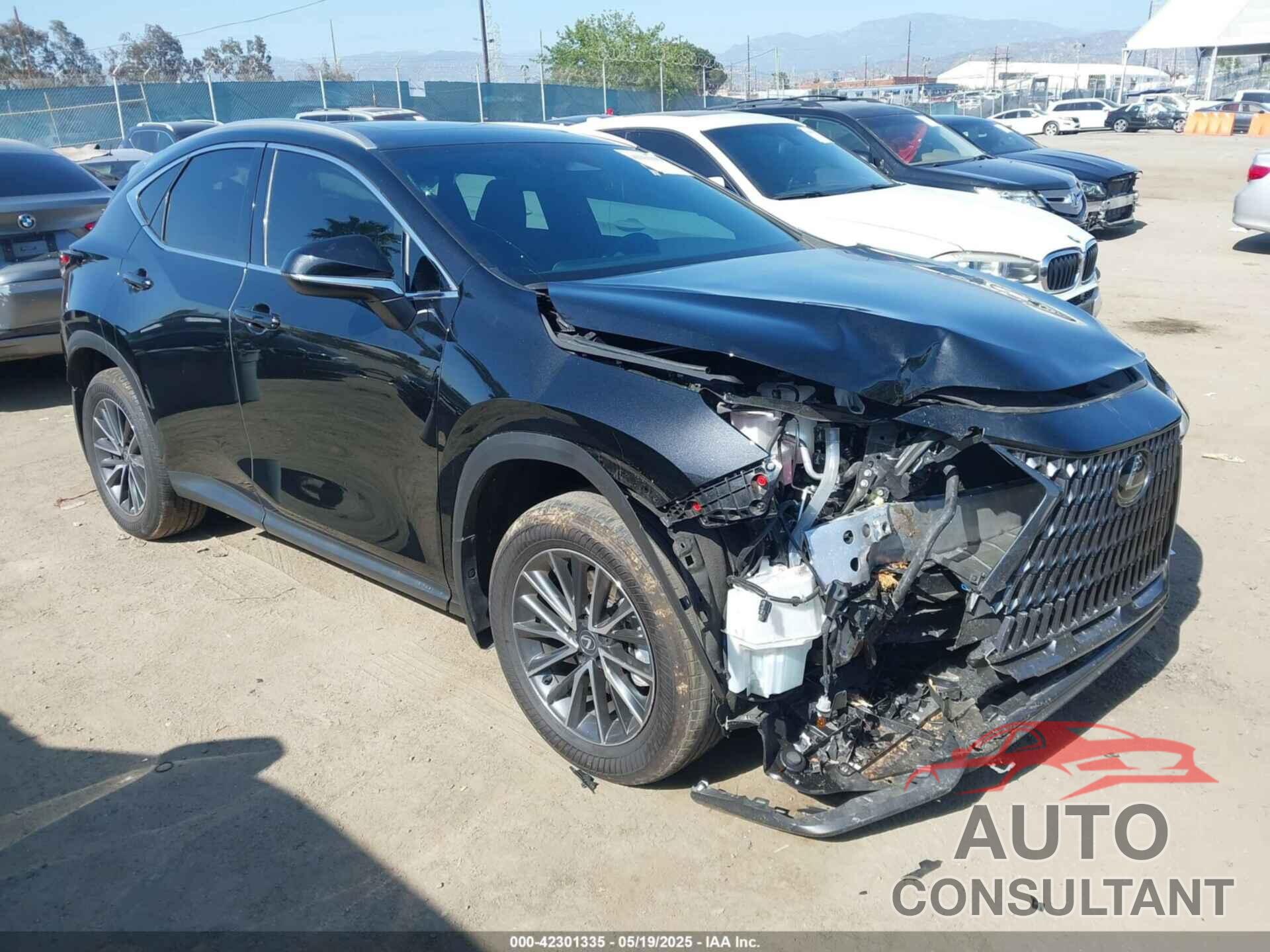 LEXUS NX 350H 2025 - 2T2AKCEZ5SC035967
