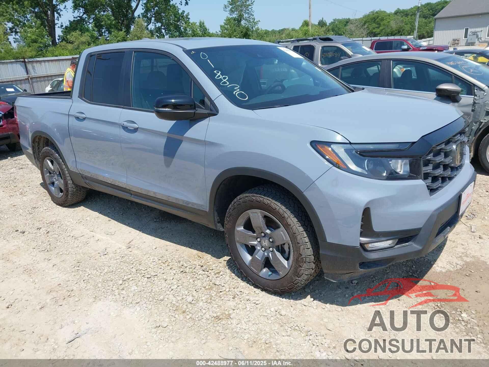 HONDA RIDGELINE 2024 - 5FPYK3F68RB018830