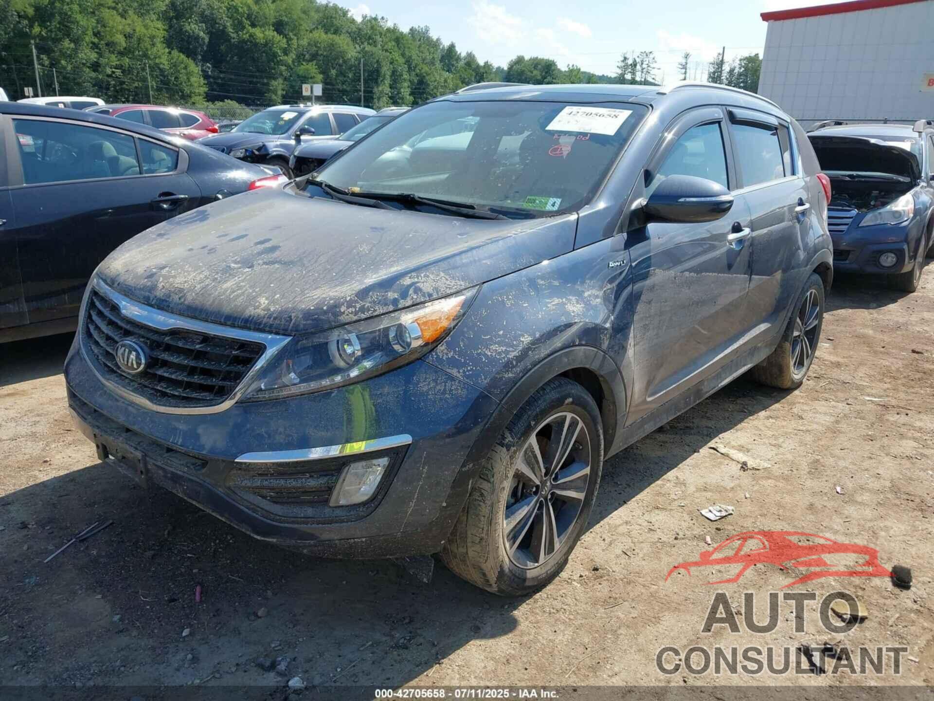 KIA SPORTAGE 2016 - KNDPCCA6XG7815656