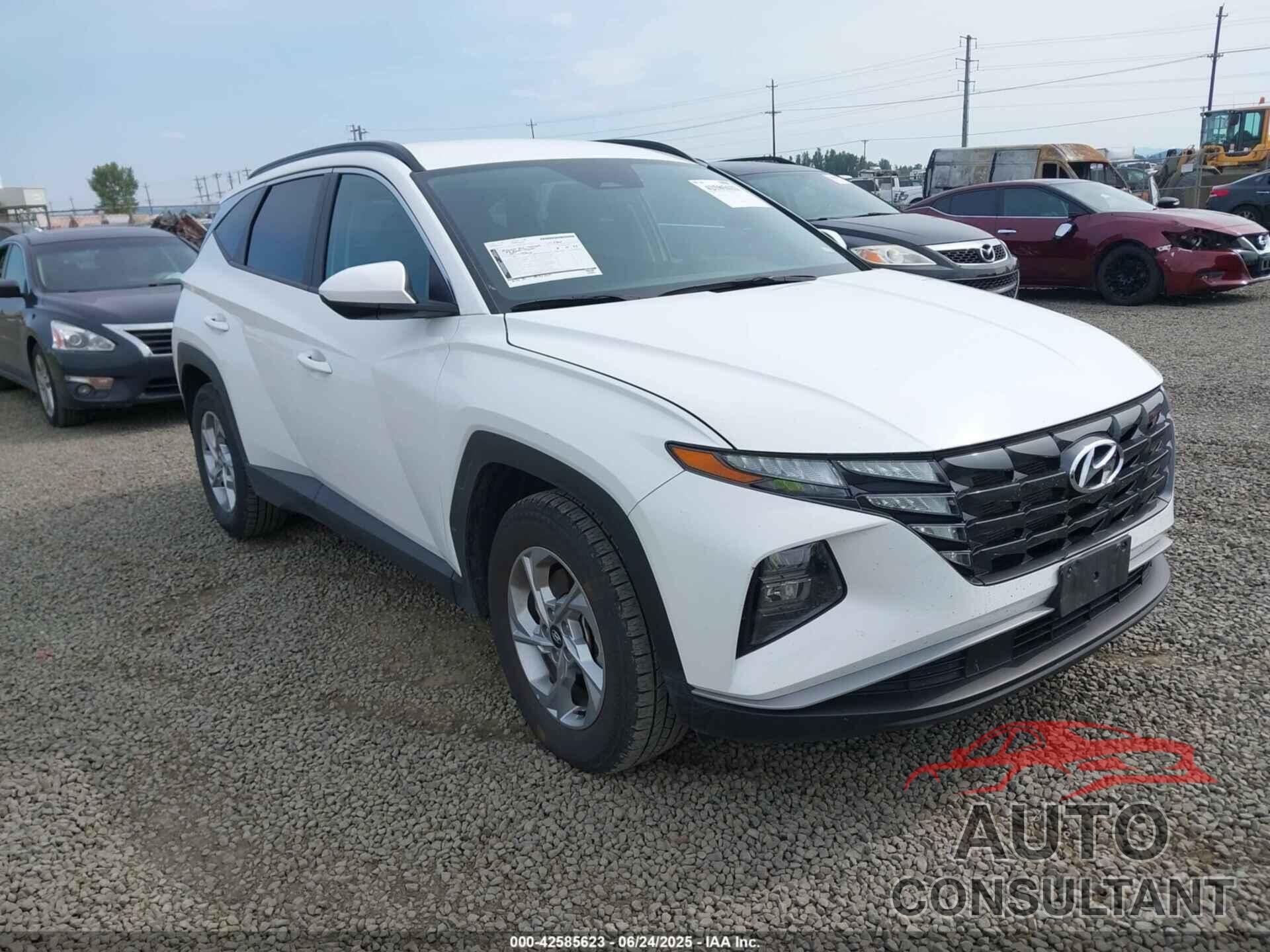 HYUNDAI TUCSON 2024 - 5NMJB3DE1RH328076