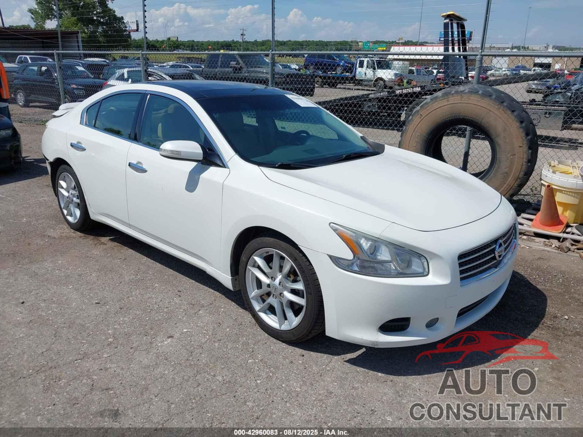 NISSAN MAXIMA 2009 - 1N4AA51E49C818793