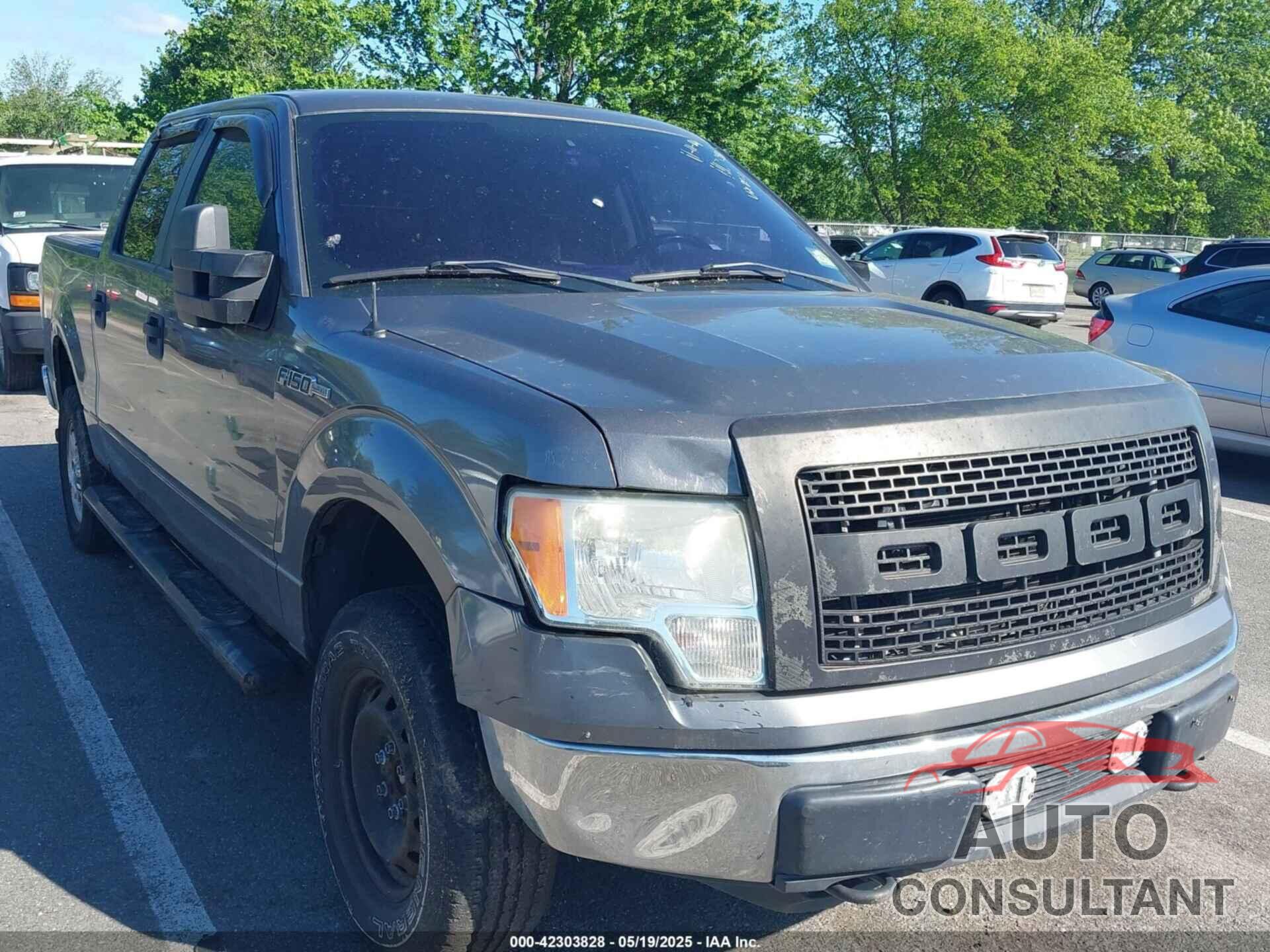 FORD F-150 2009 - 1FTRW14819FB18628