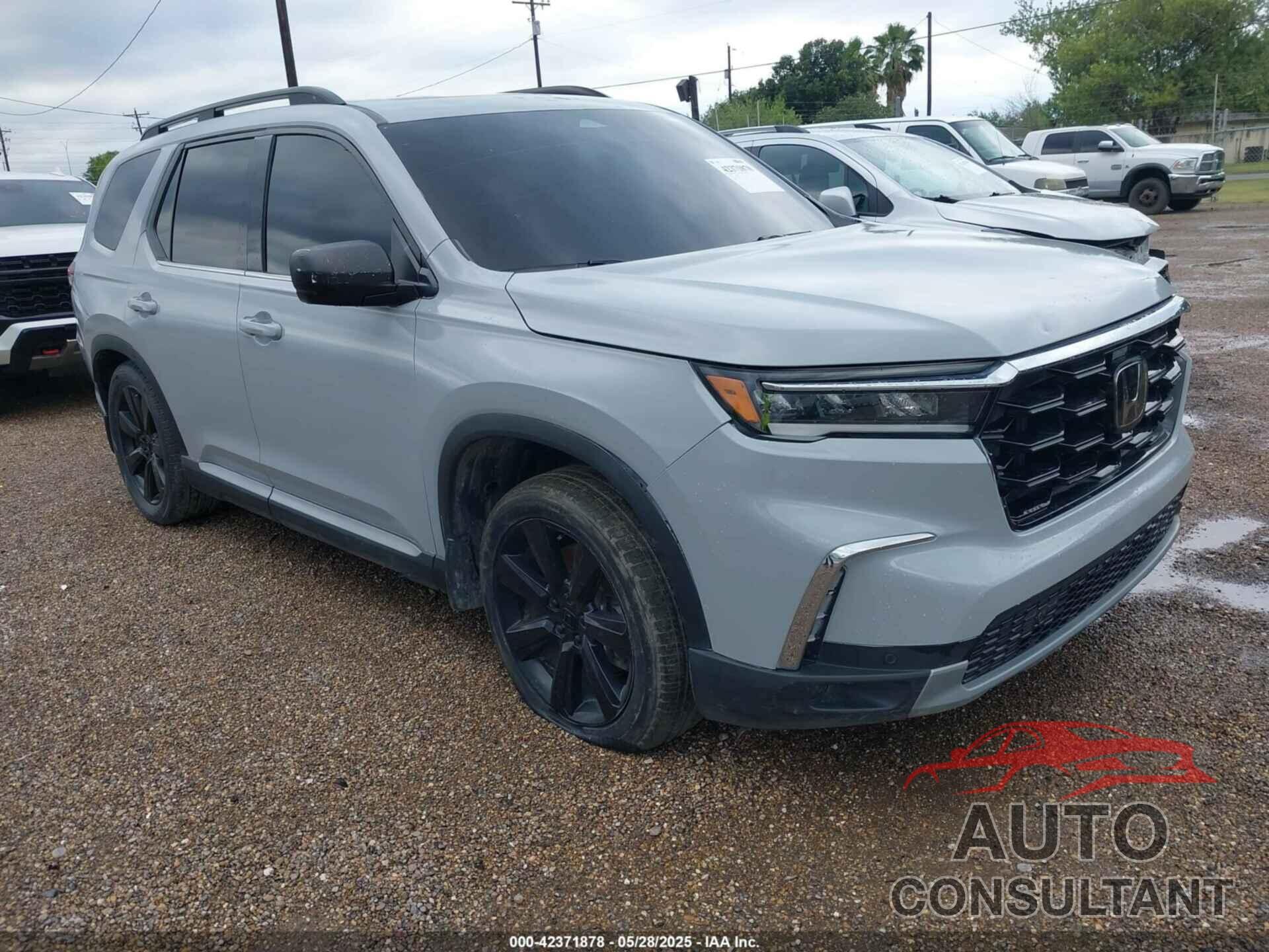 HONDA PILOT 2024 - 5FNYG1H71RB005034