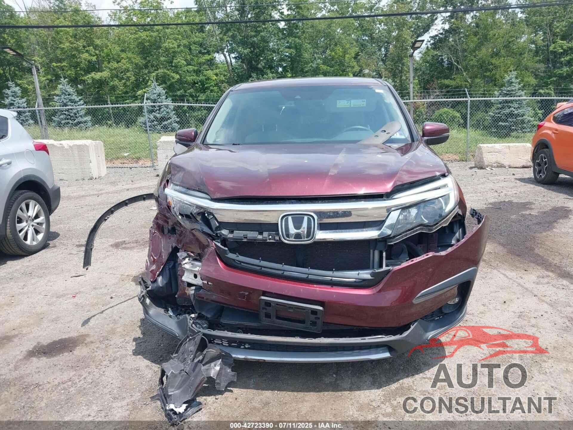 HONDA PILOT 2019 - 5FNYF6H36KB079911