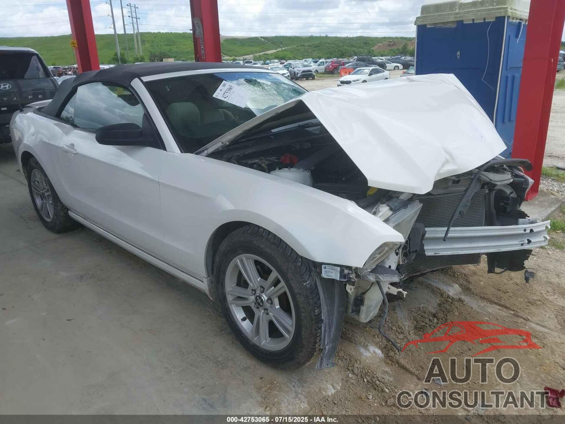 FORD MUSTANG 2013 - 1ZVBP8EM3D5239417