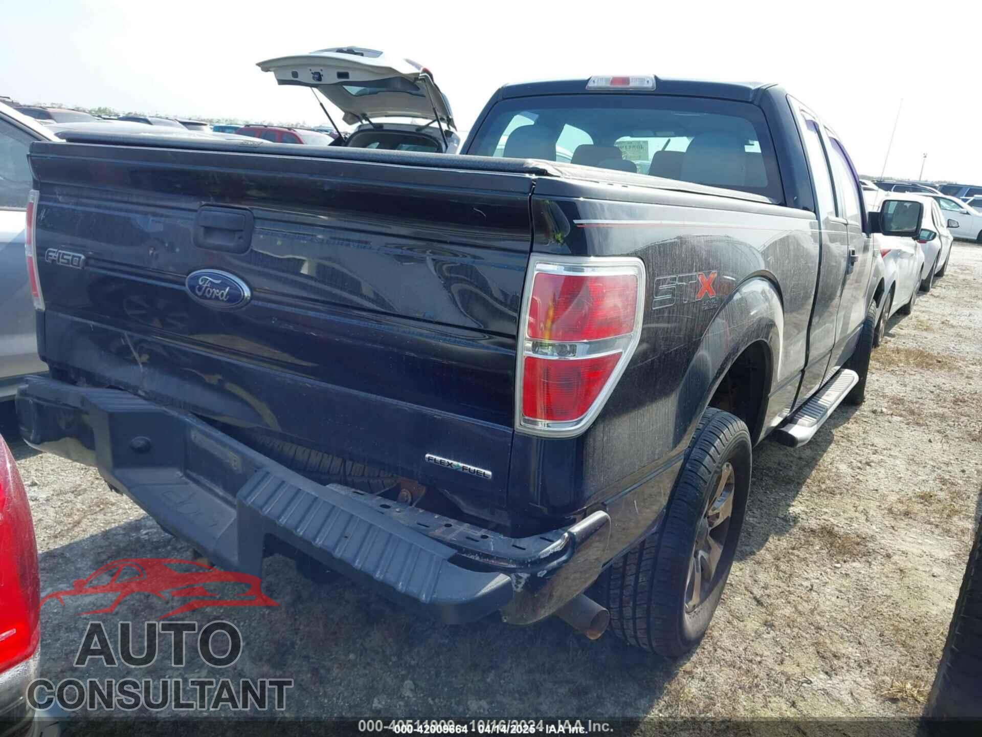 FORD F-150 2013 - 1FTFX1EF1DFD78839